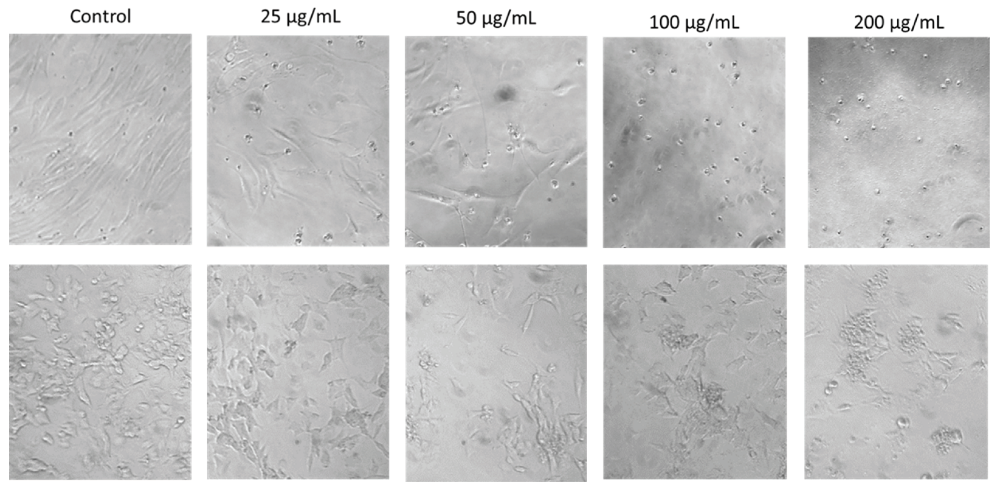 Preprints 100140 g003