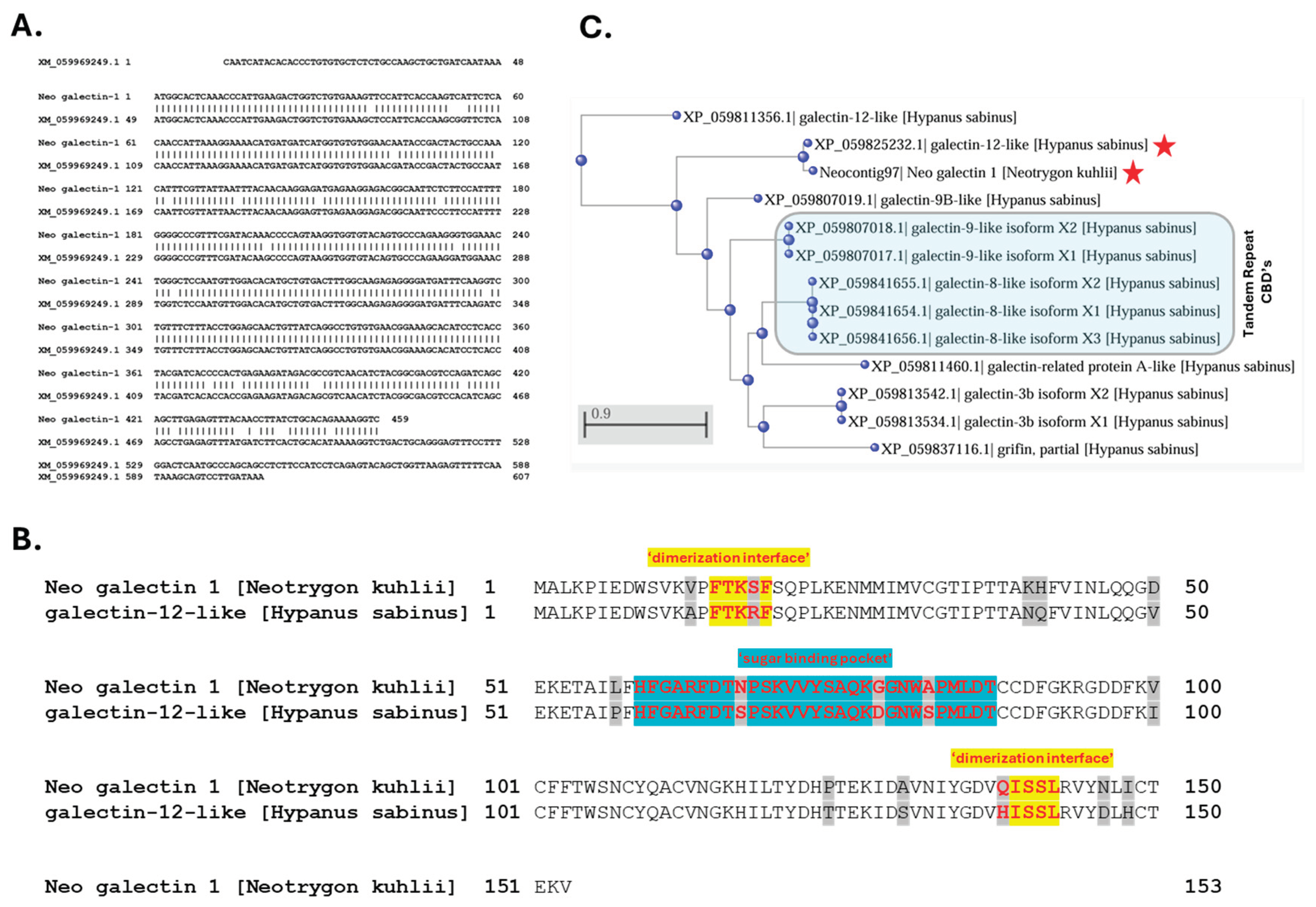 Preprints 100140 g008