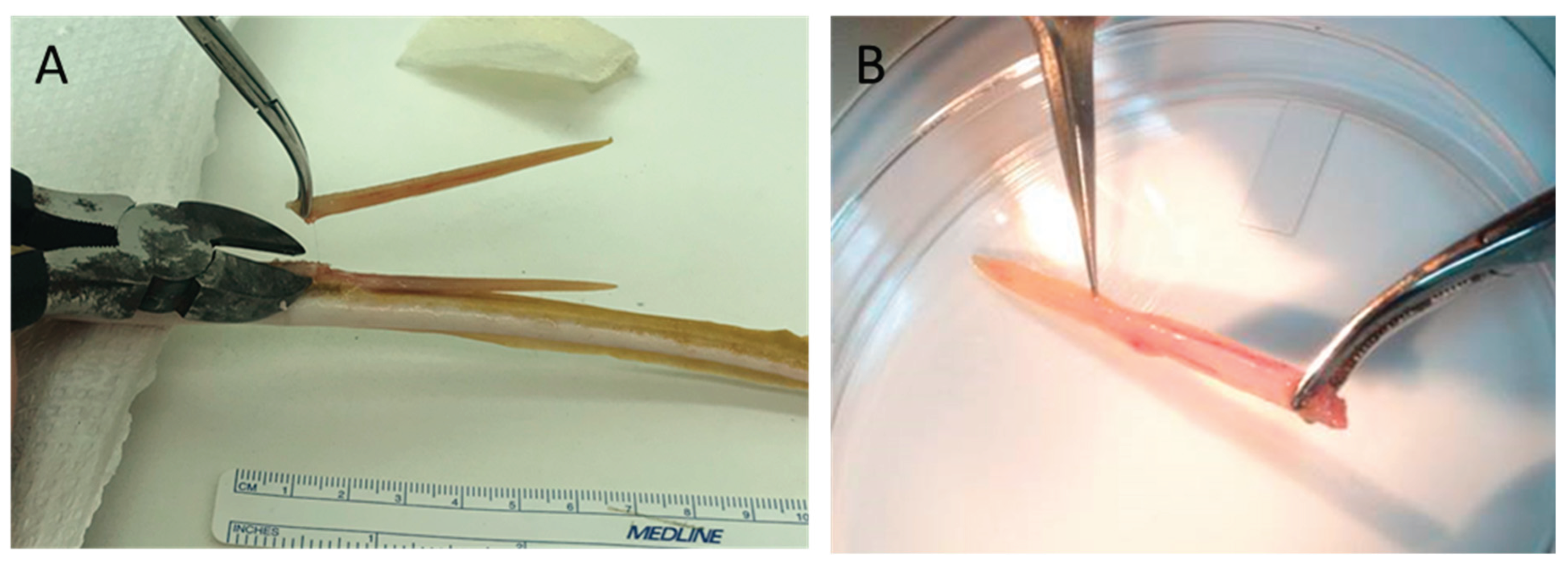 Preprints 100140 g010