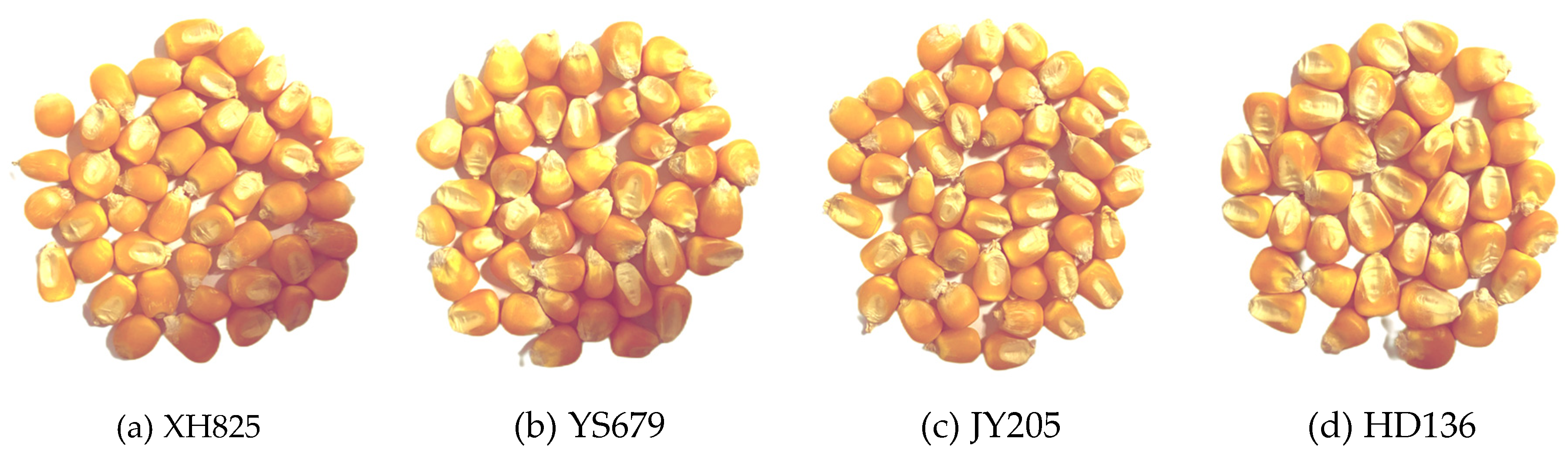 Preprints 115223 g001