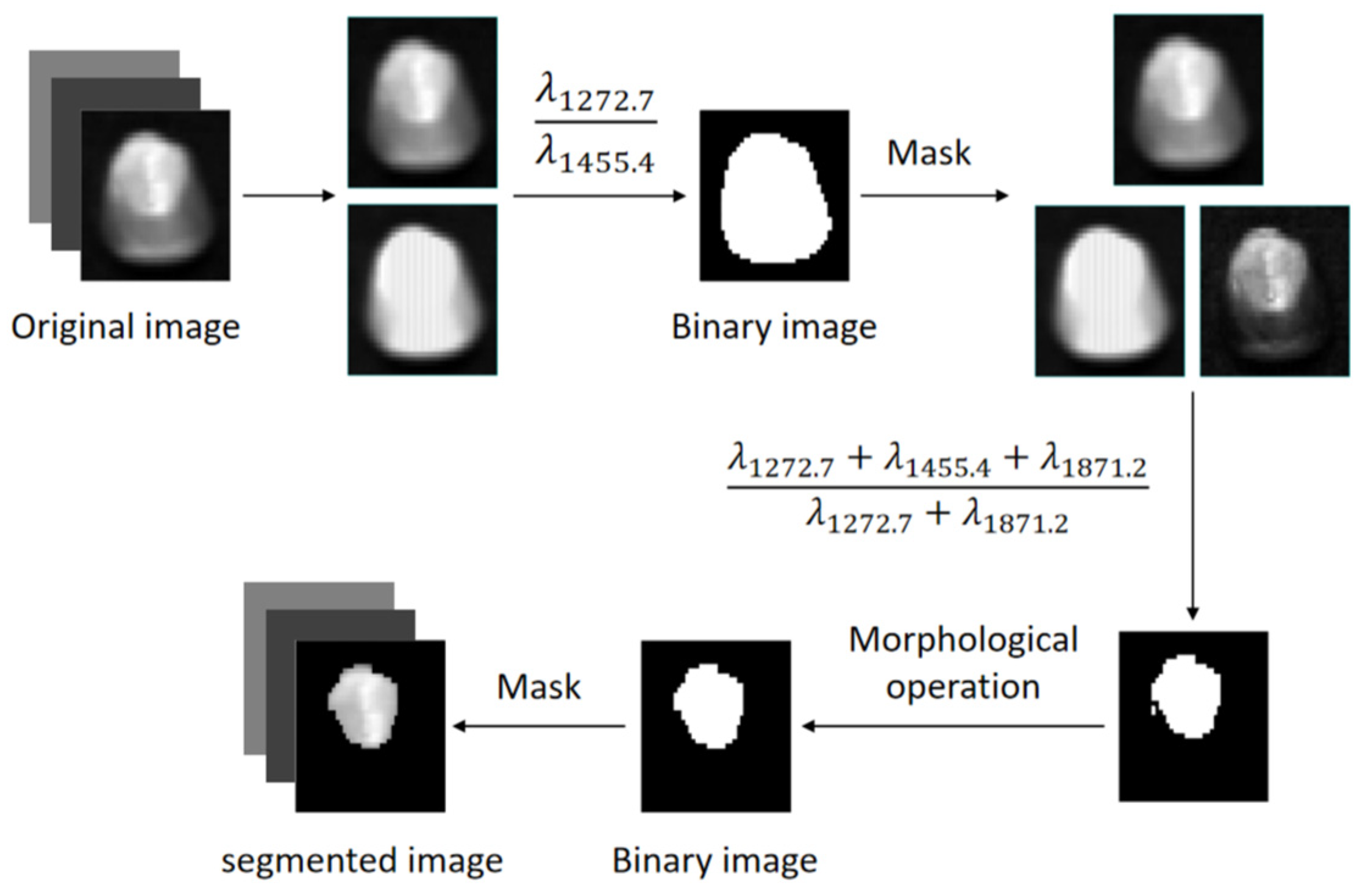 Preprints 115223 g005