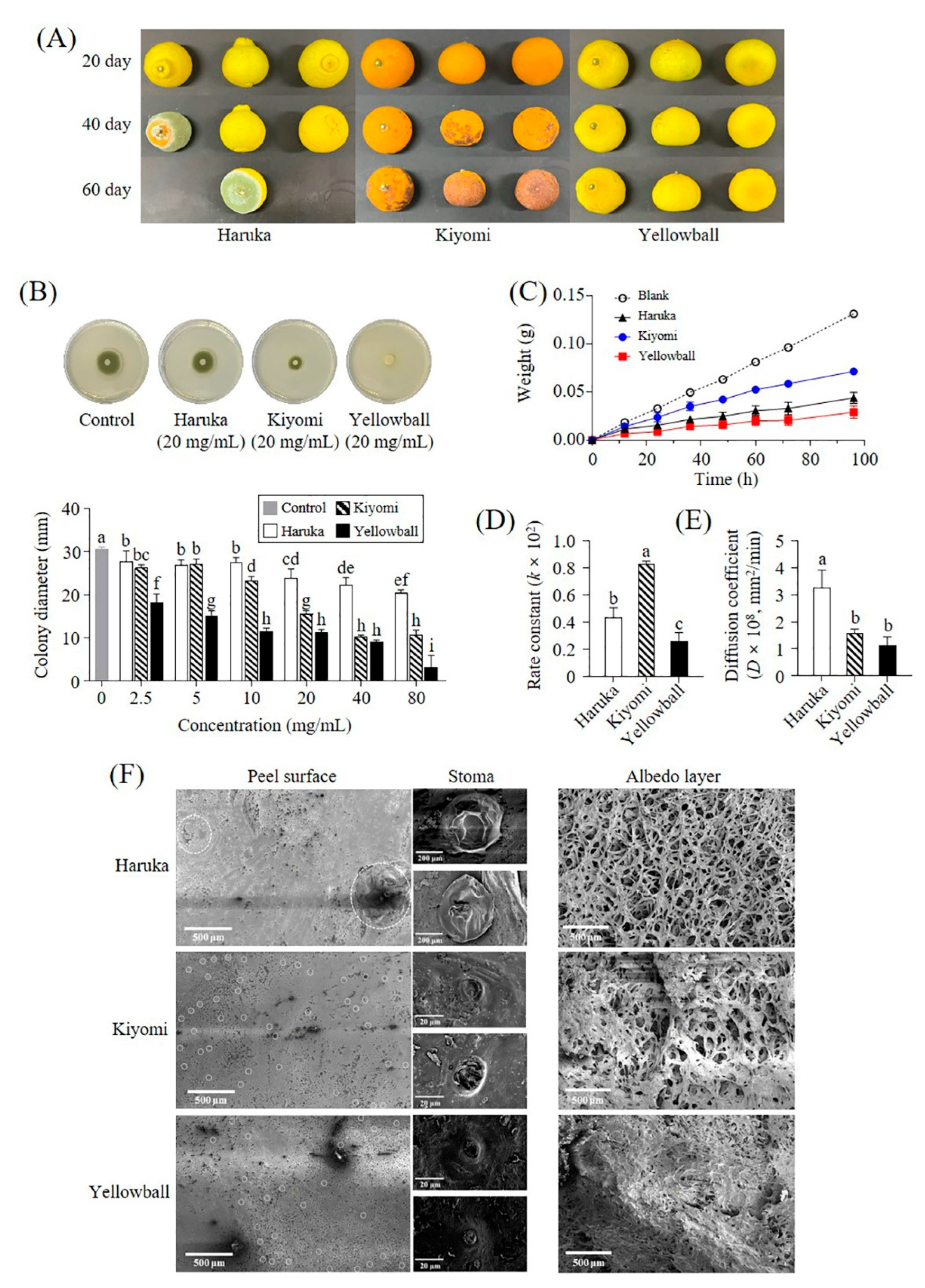 Preprints 79156 g002