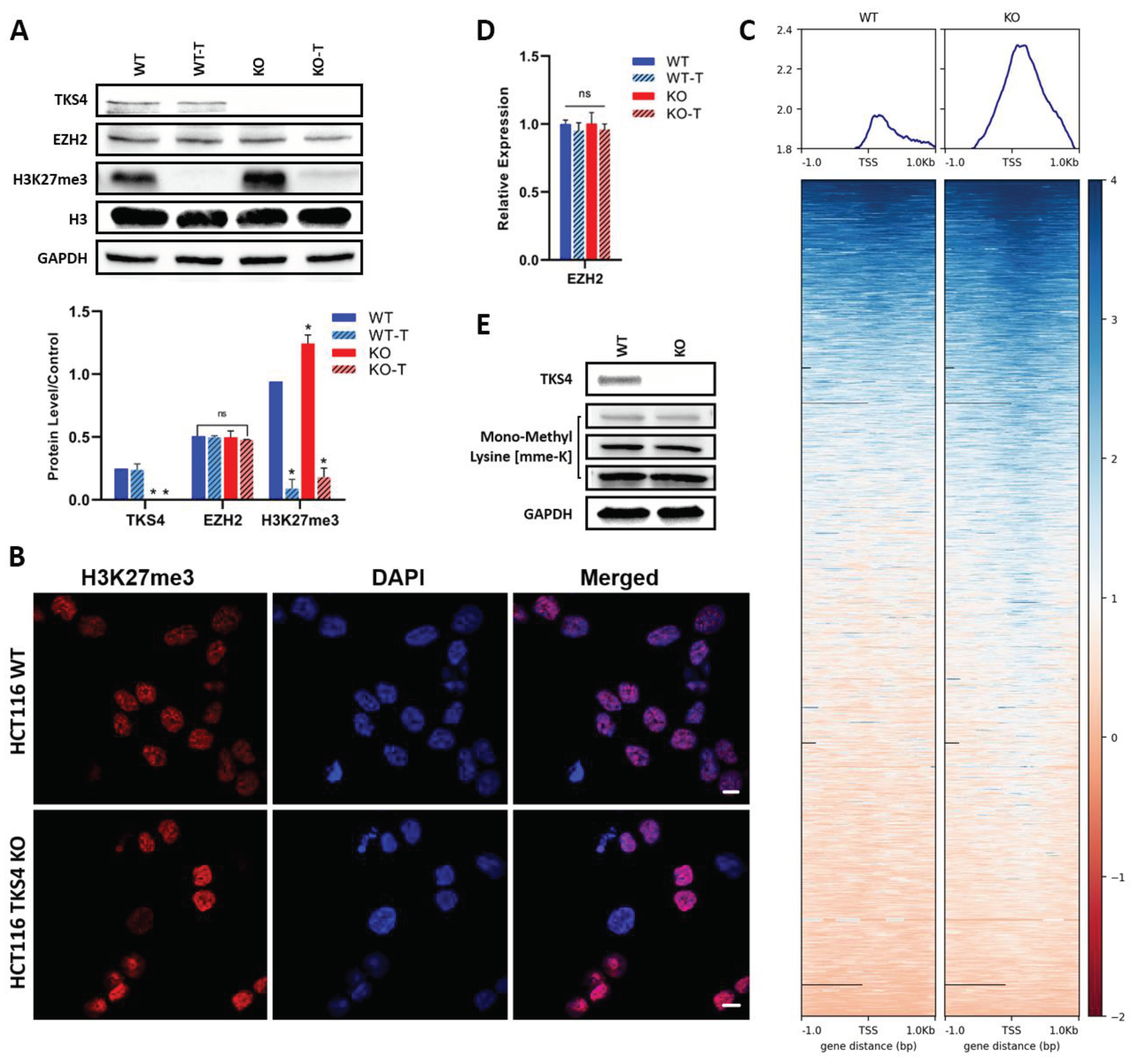 Preprints 101285 g001