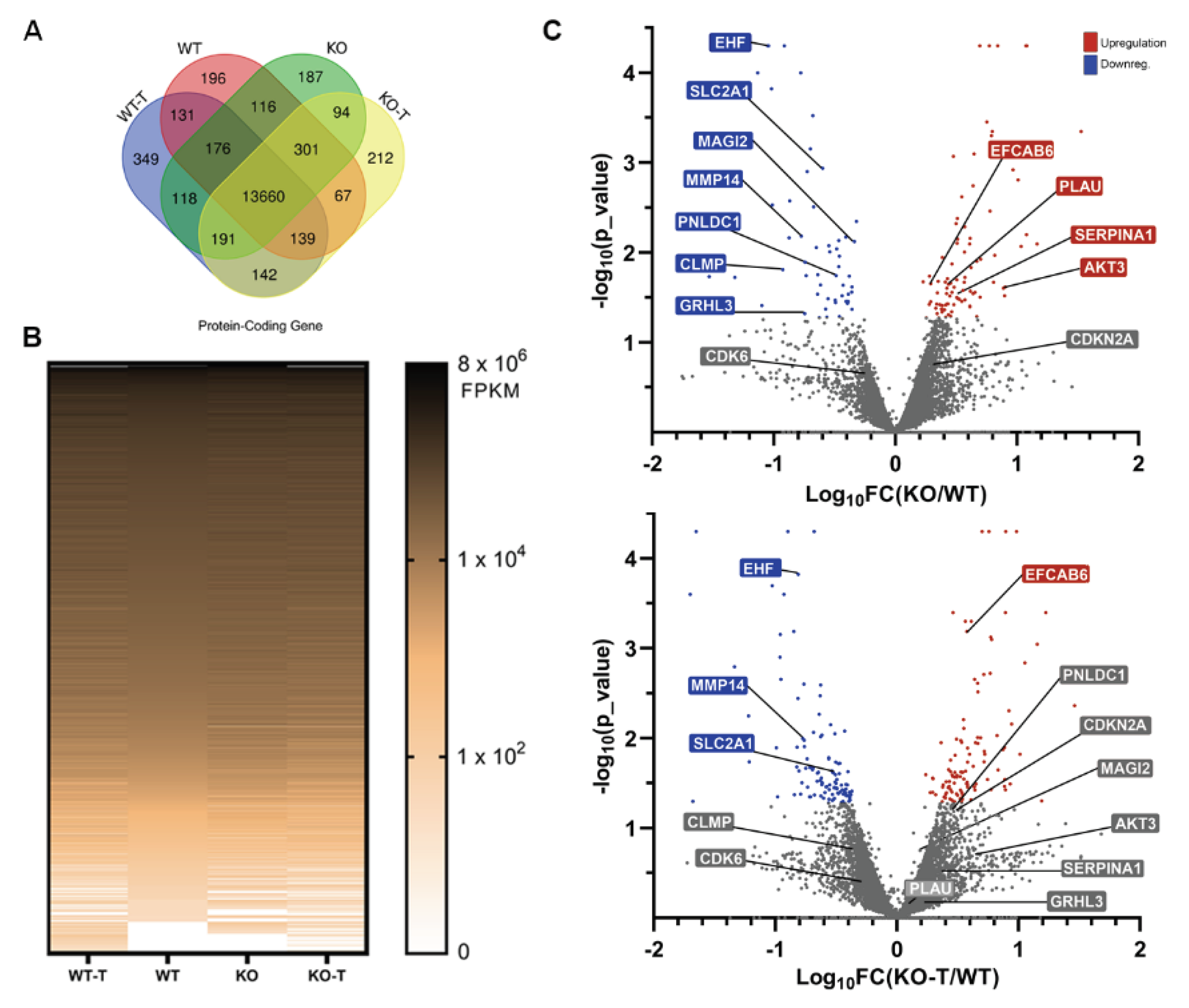 Preprints 101285 g005