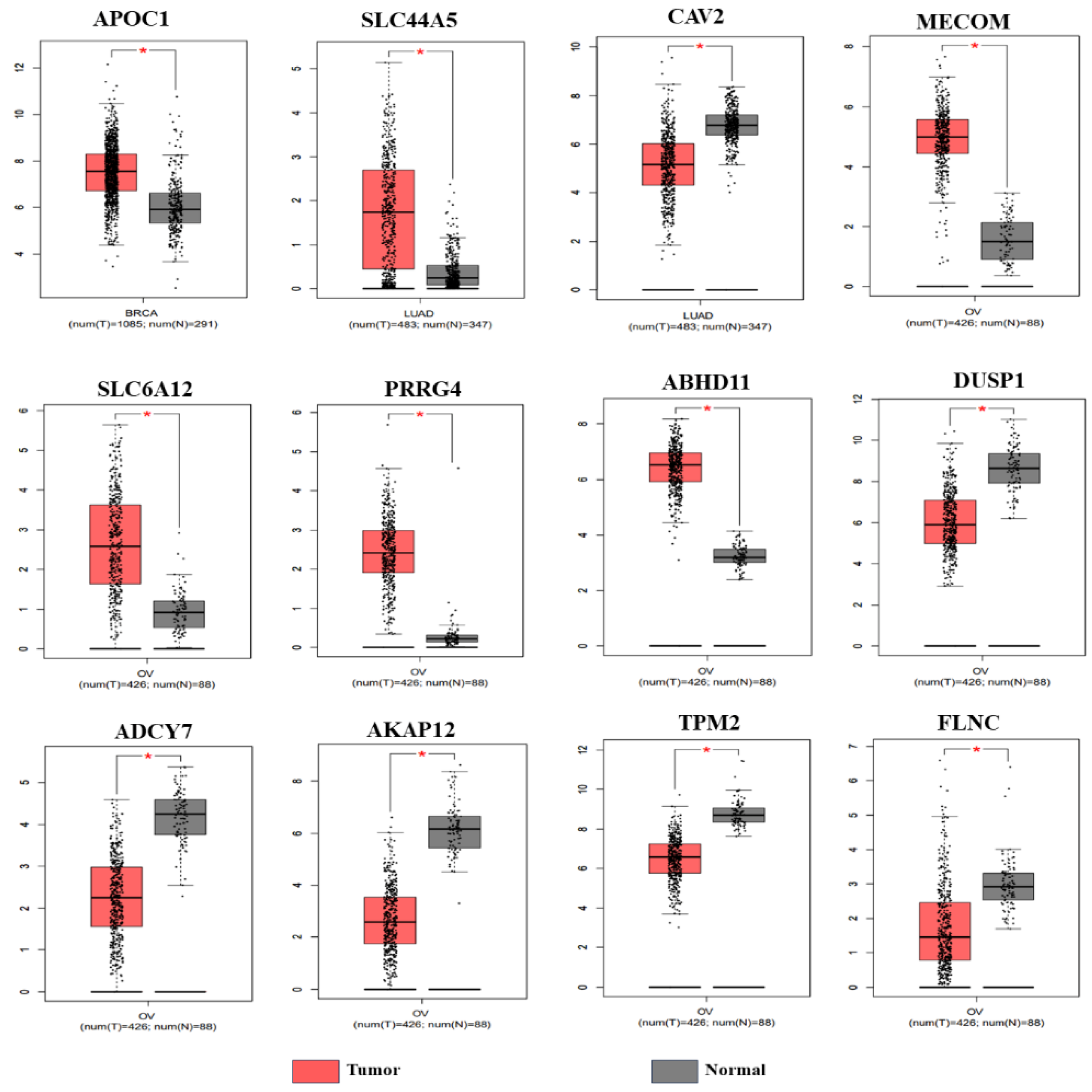 Preprints 114029 g002