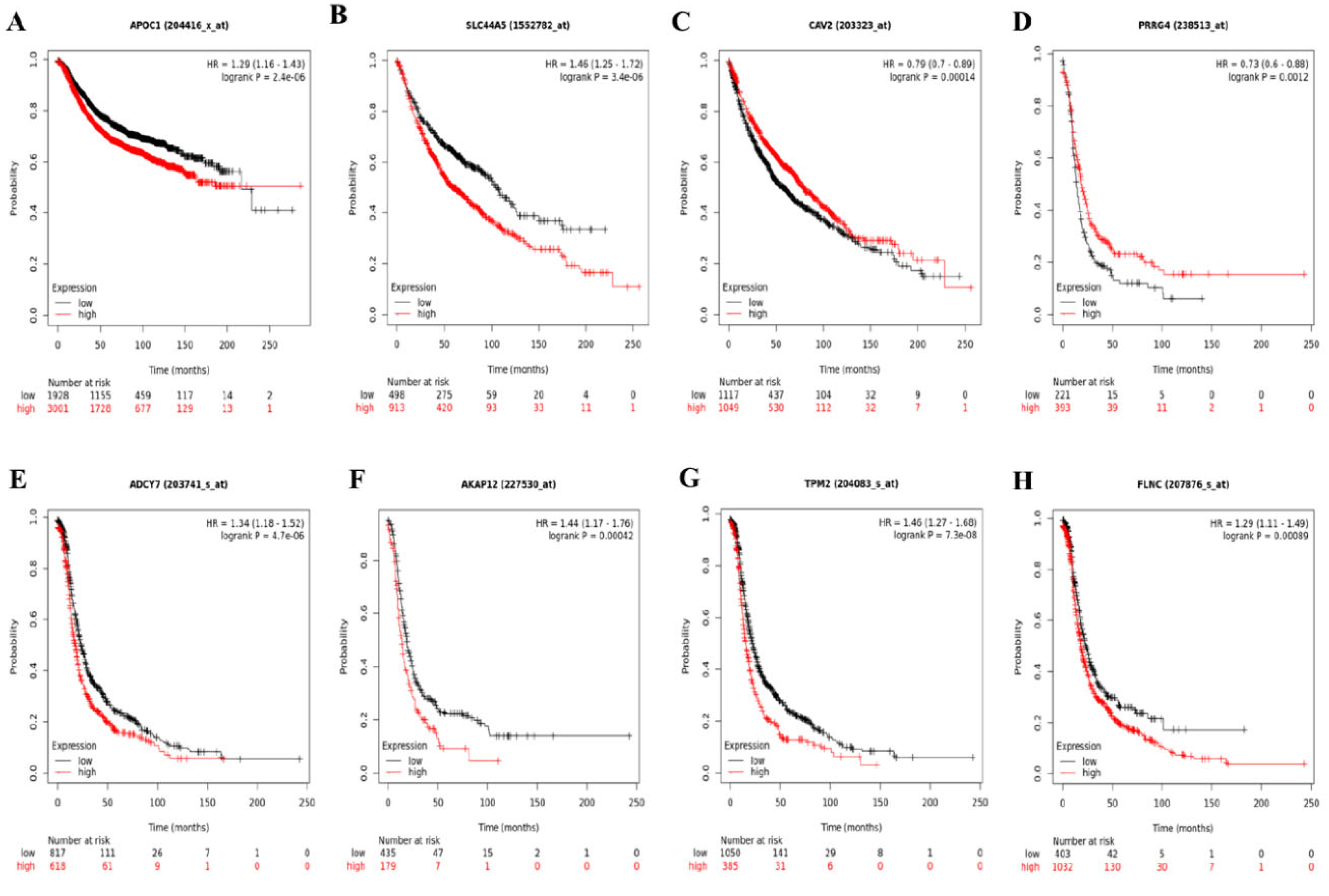 Preprints 114029 g003