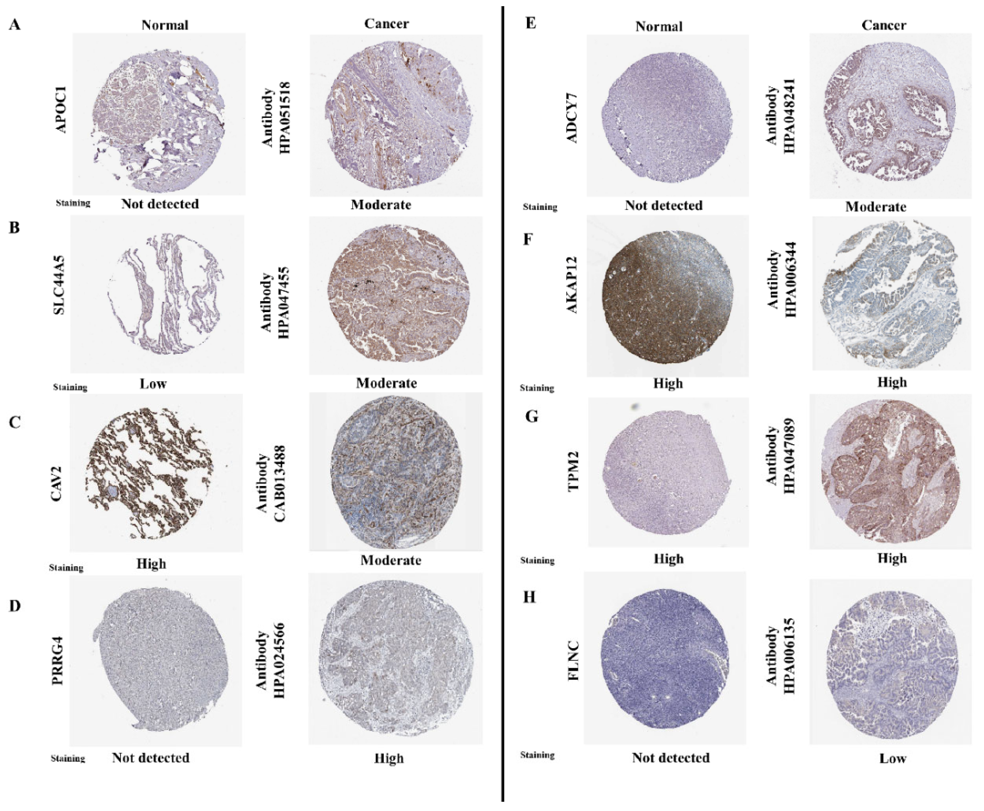 Preprints 114029 g006