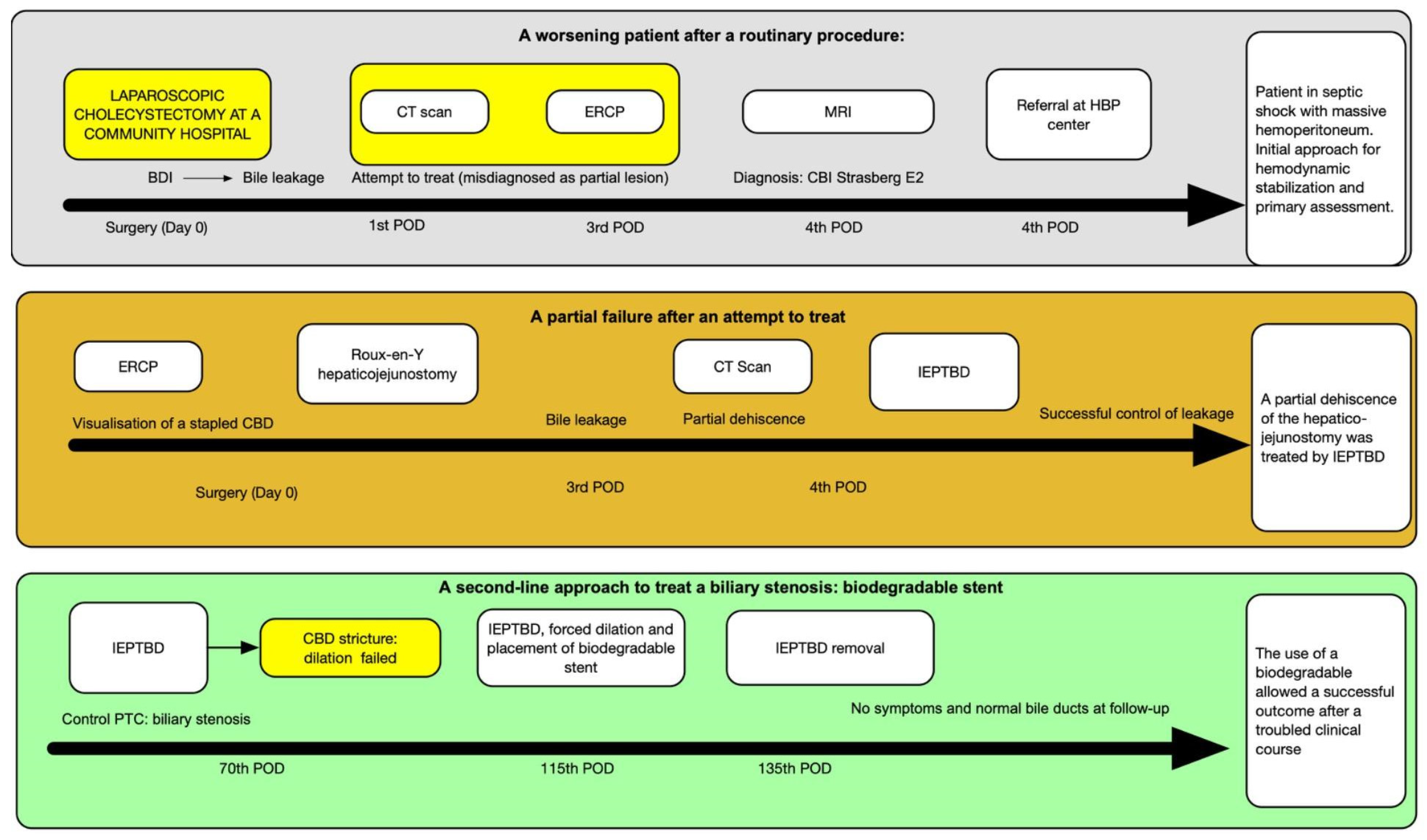 Preprints 120076 g002