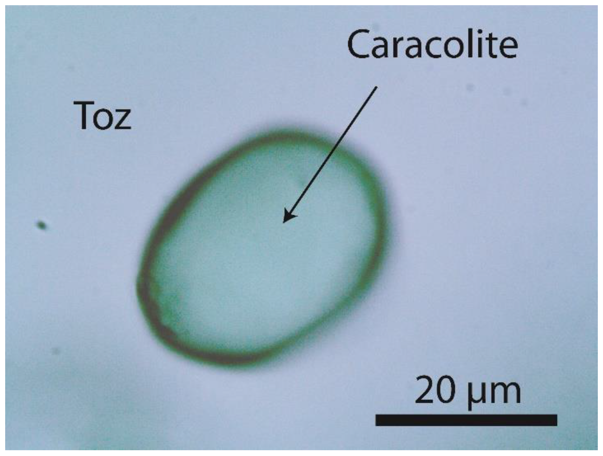 Preprints 69870 g004