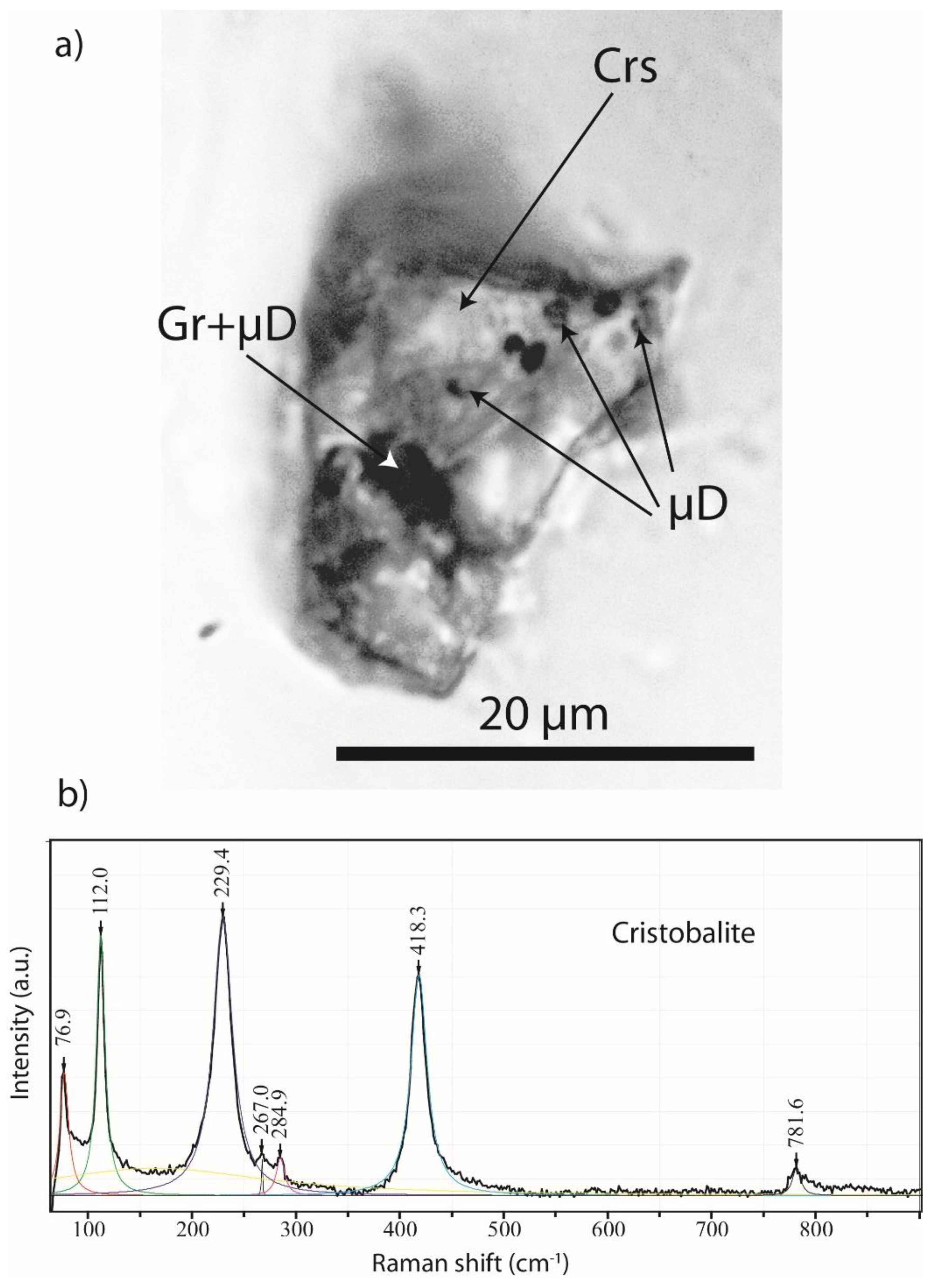 Preprints 69870 g008