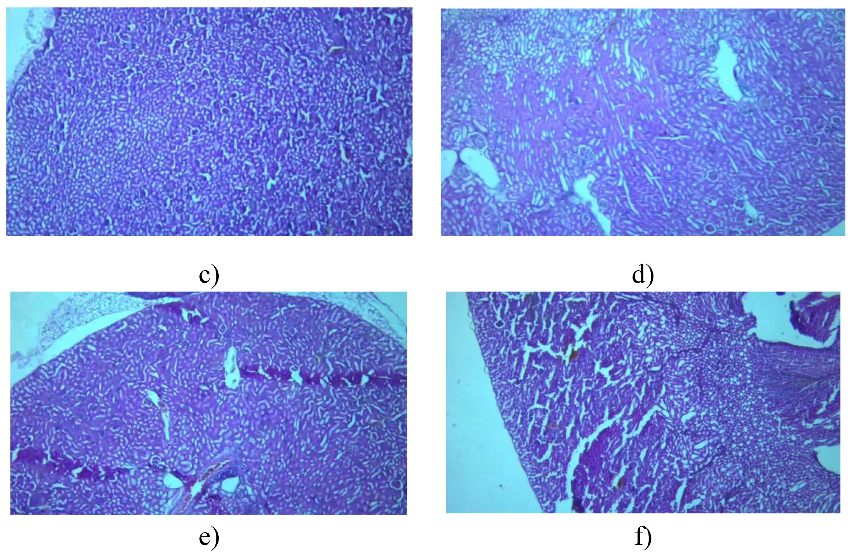 Preprints 107181 g011b