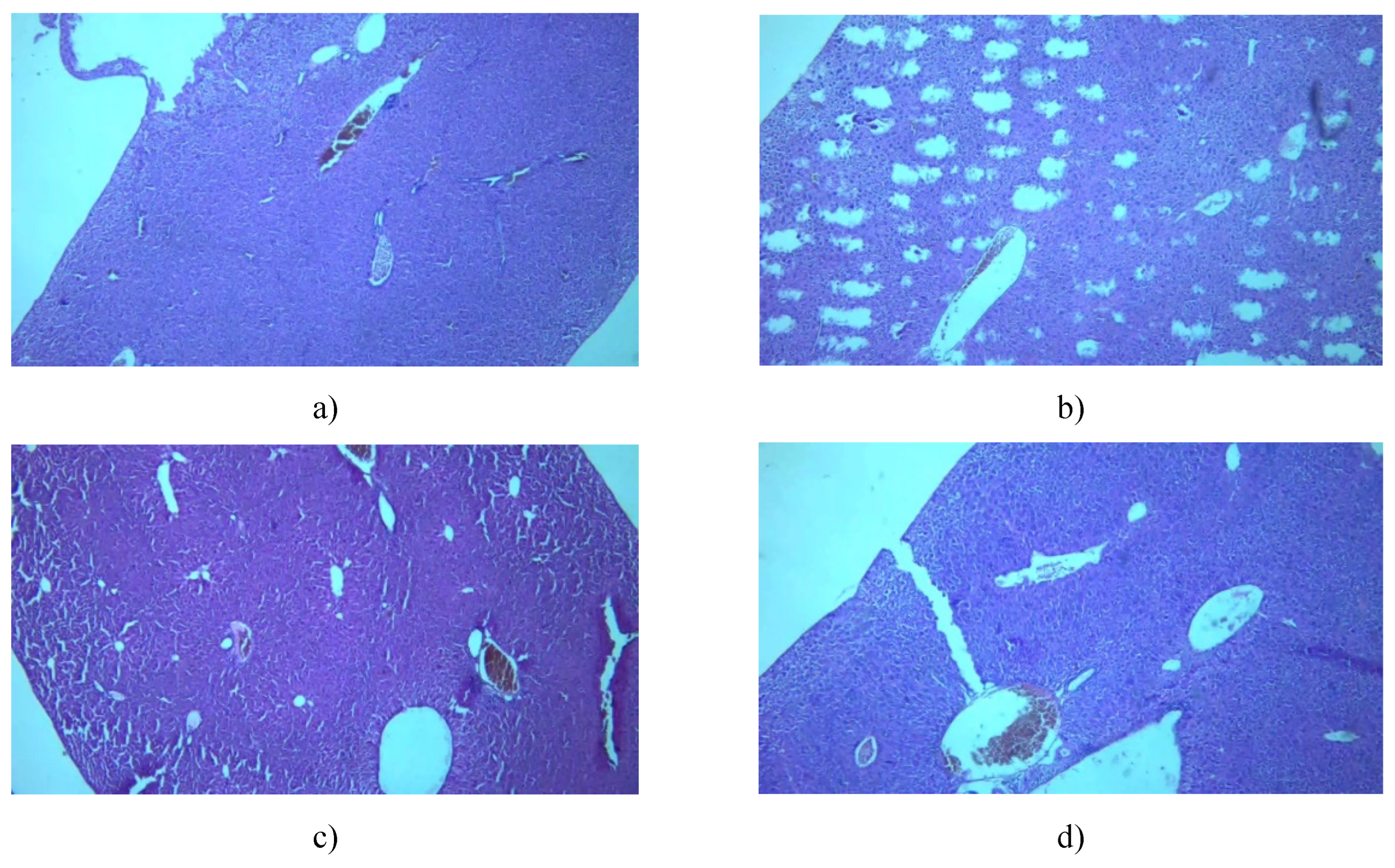 Preprints 107181 g012a