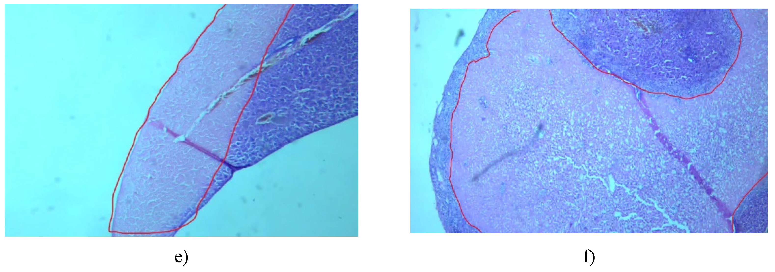 Preprints 107181 g012b