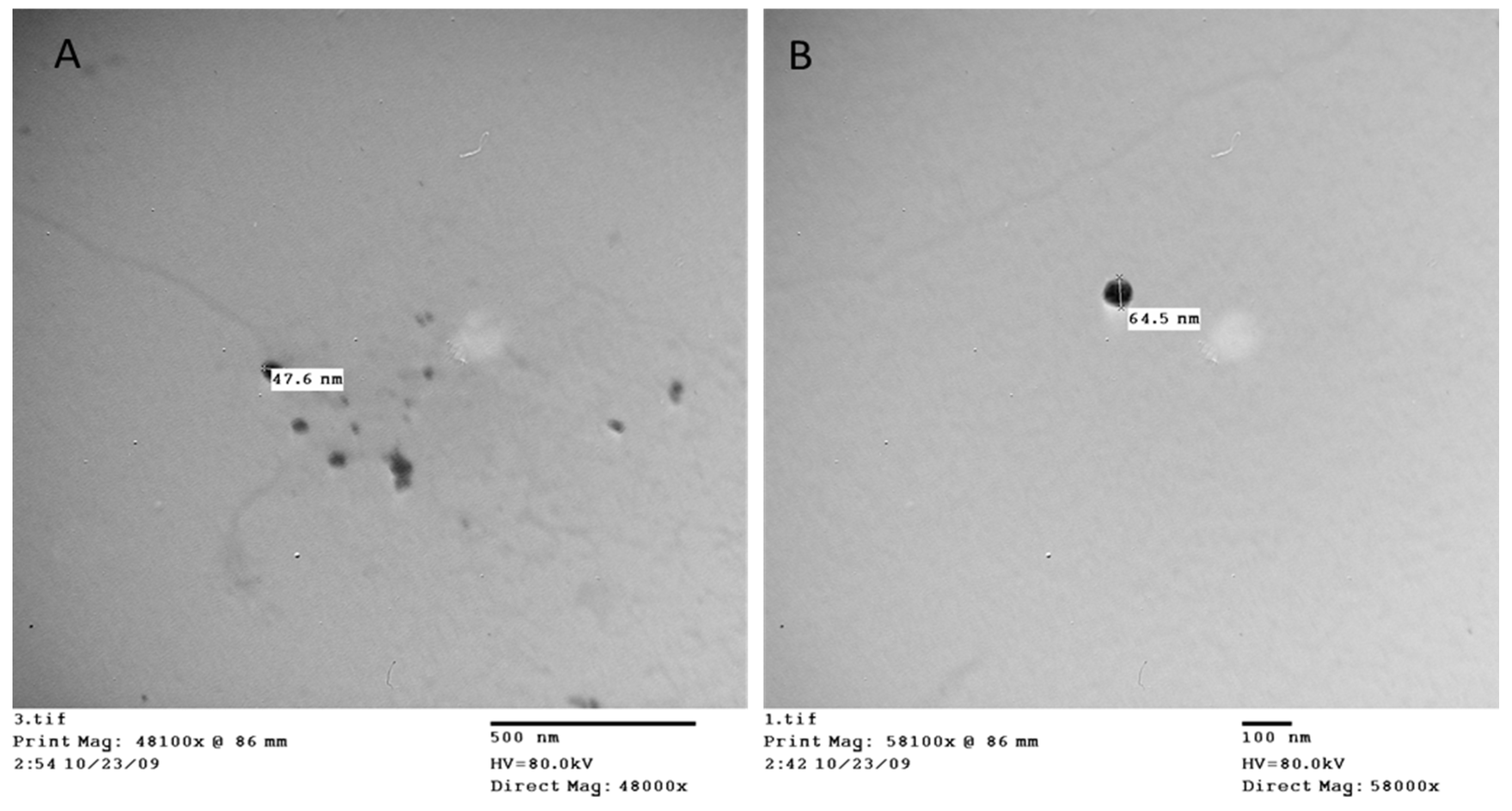 Preprints 96145 g001