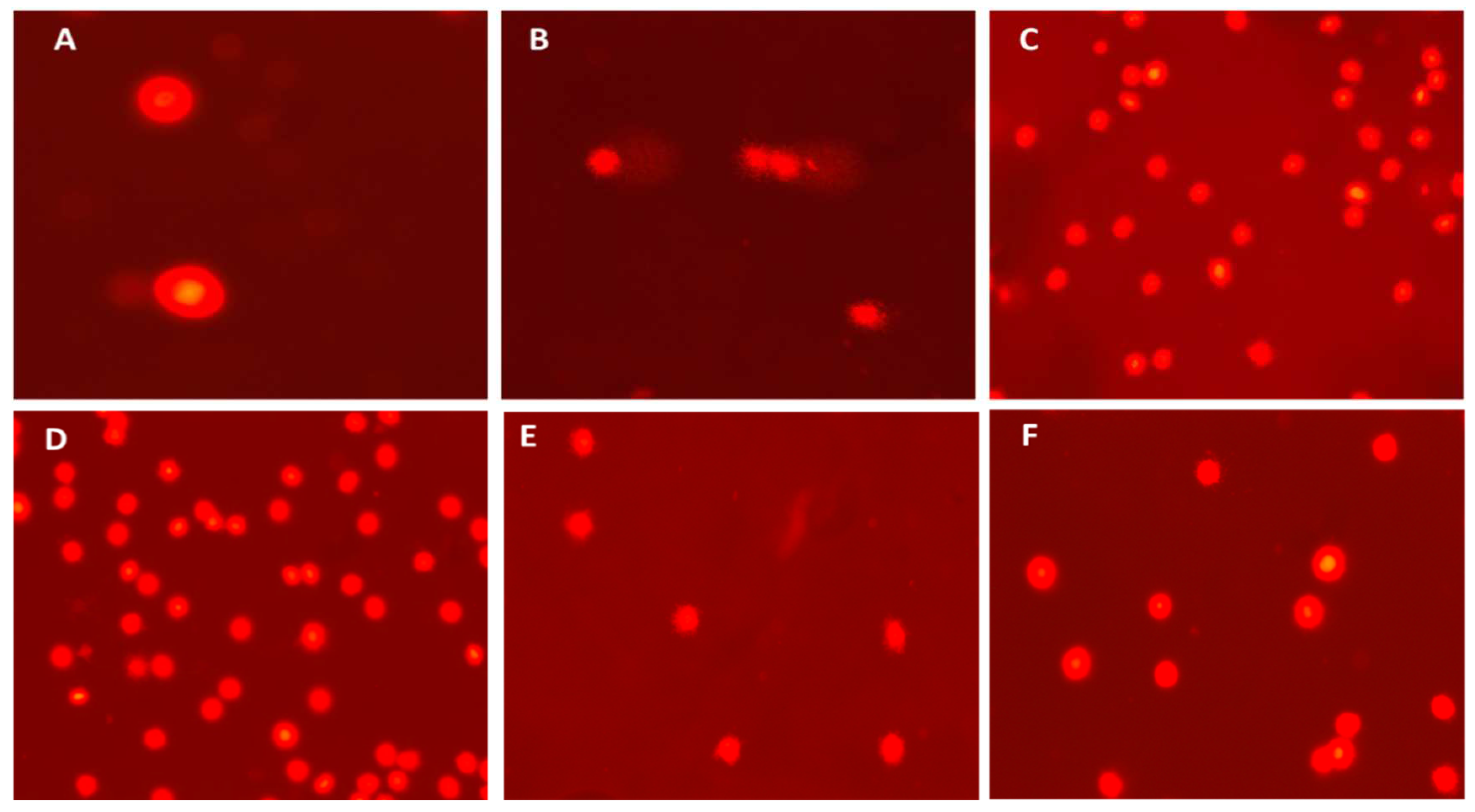 Preprints 96145 g002