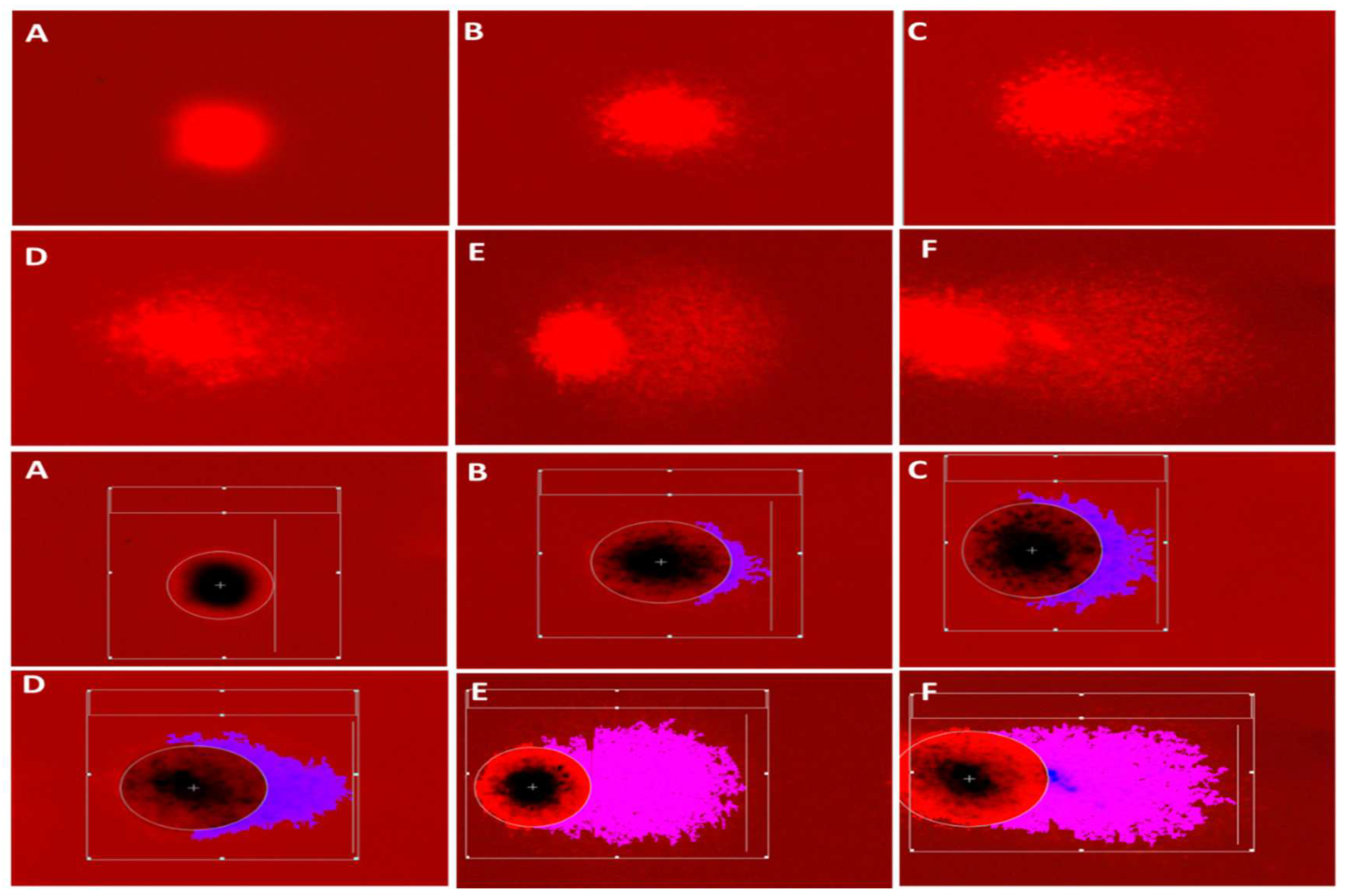 Preprints 96145 g003