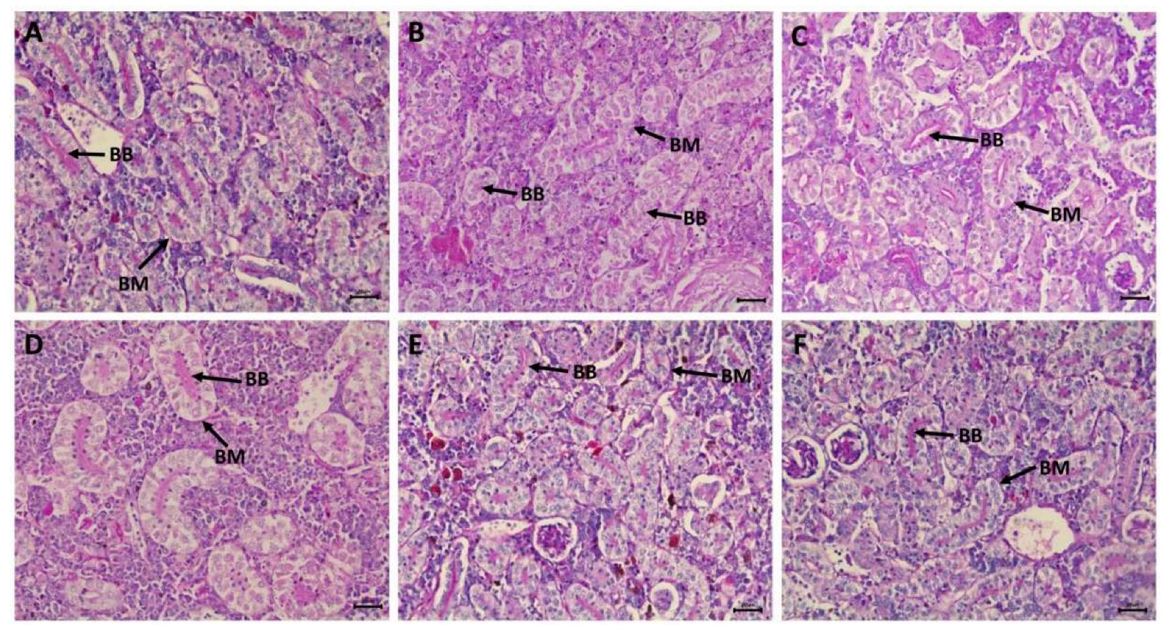 Preprints 96145 g007