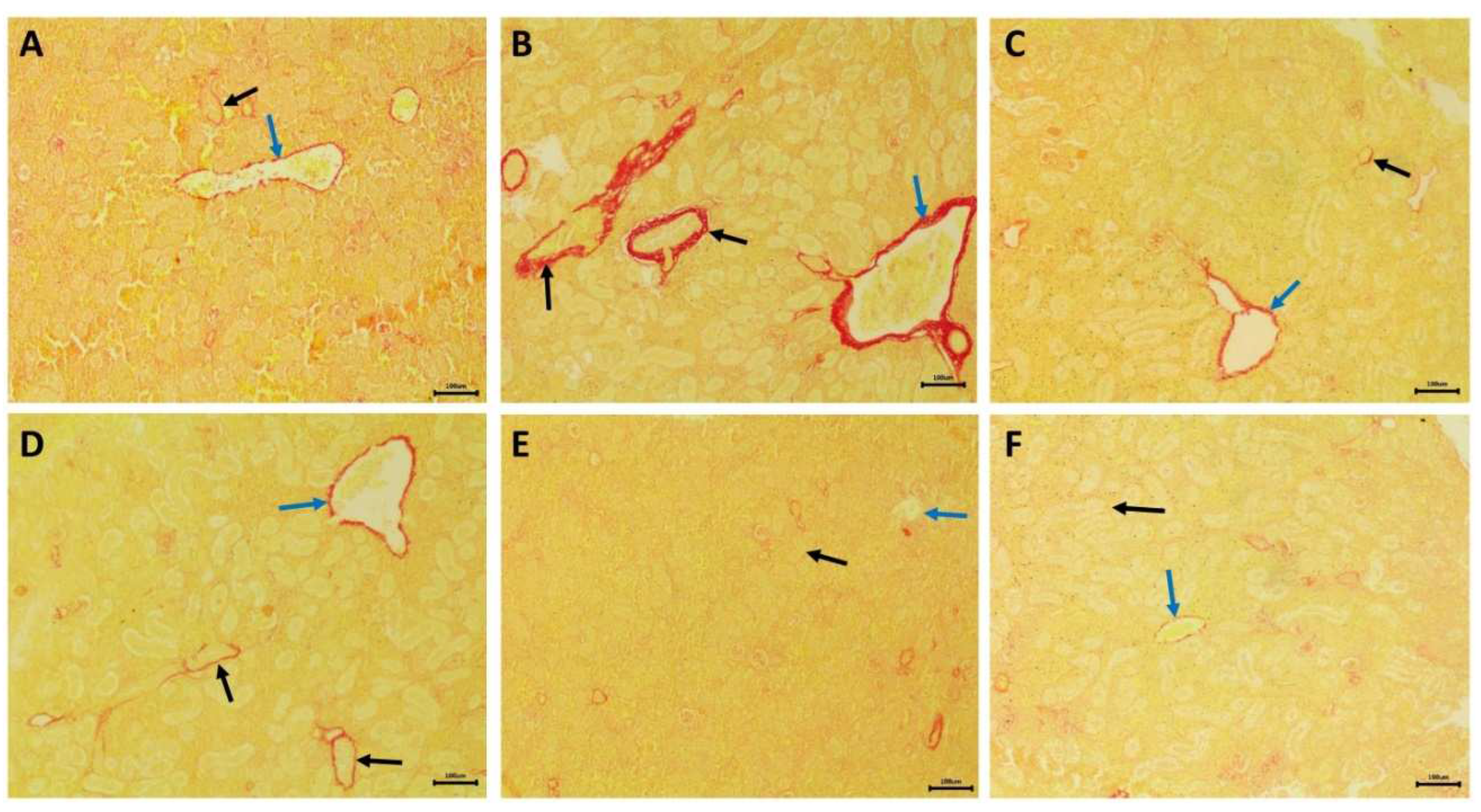 Preprints 96145 g008