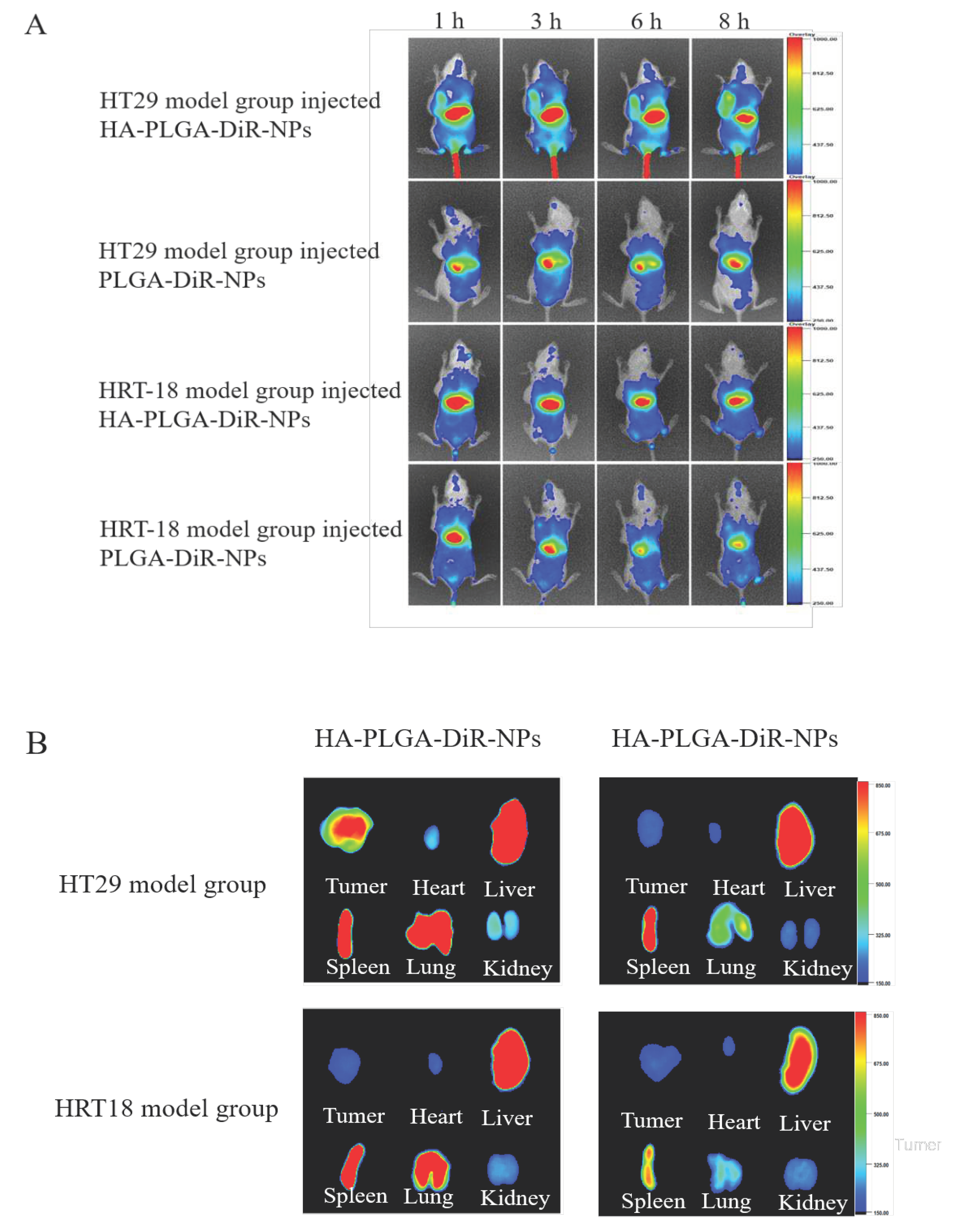 Preprints 87010 g005