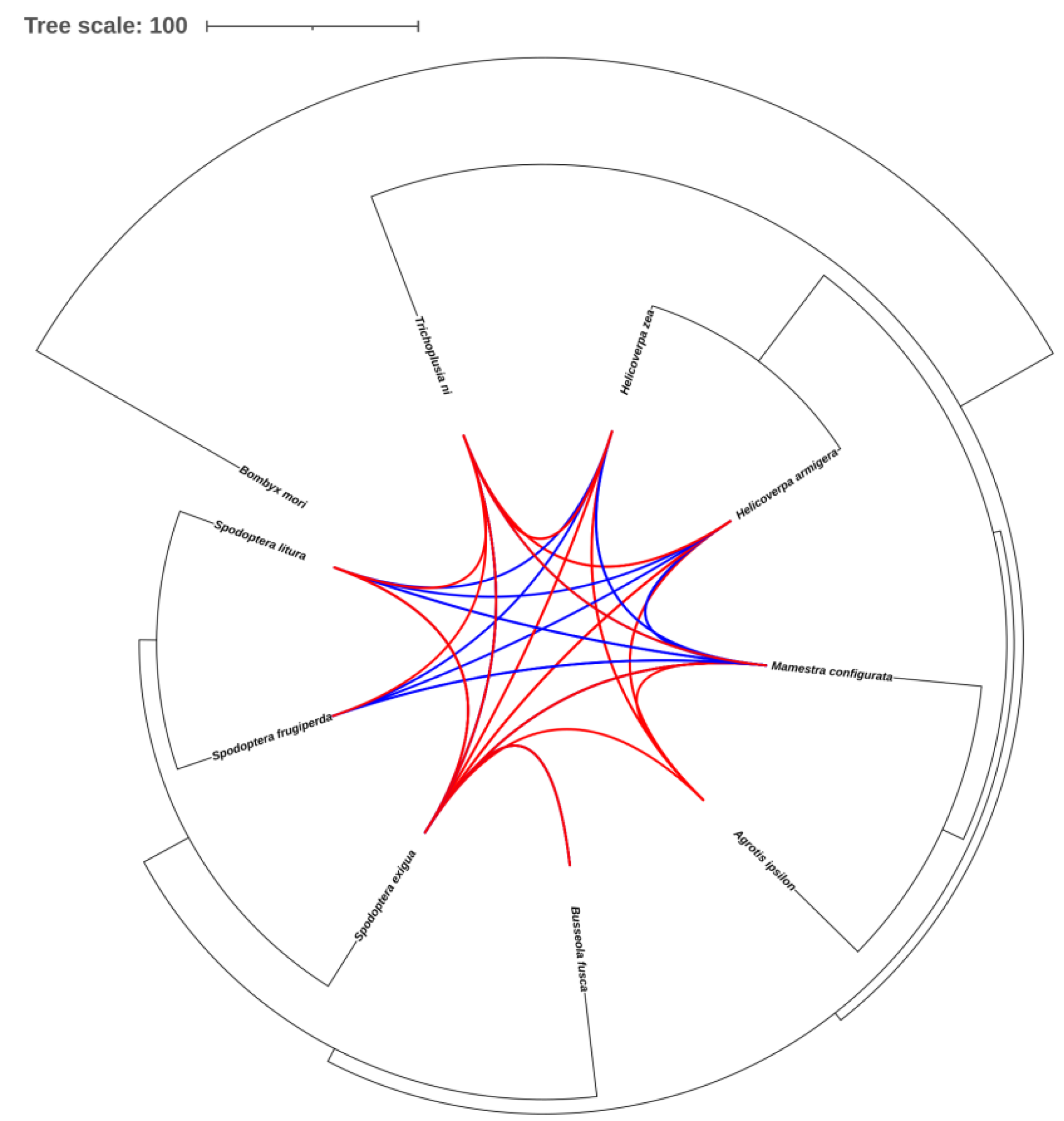 Preprints 72625 g006