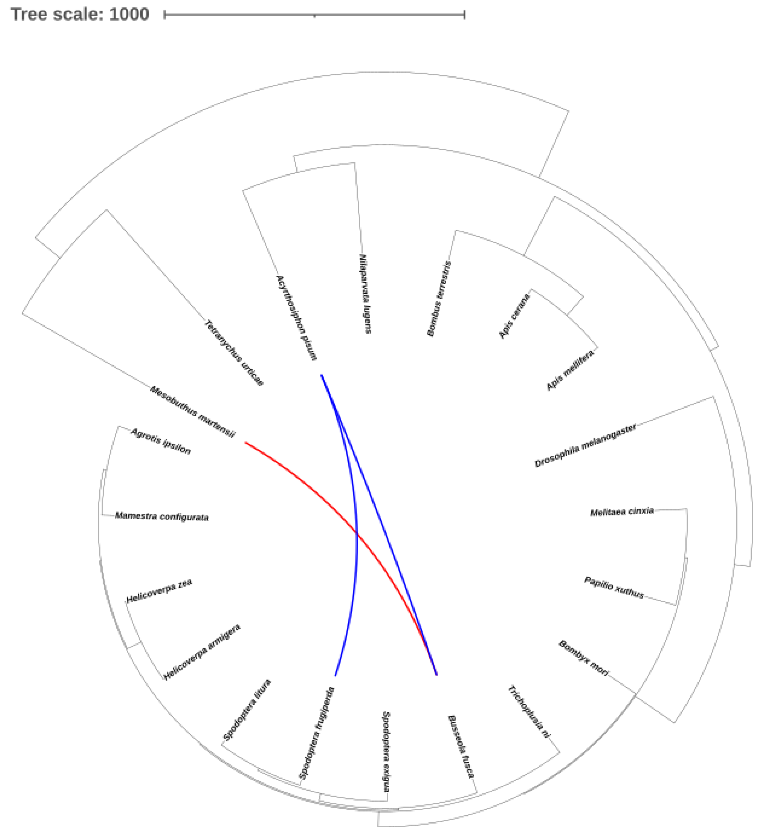 Preprints 72625 g007