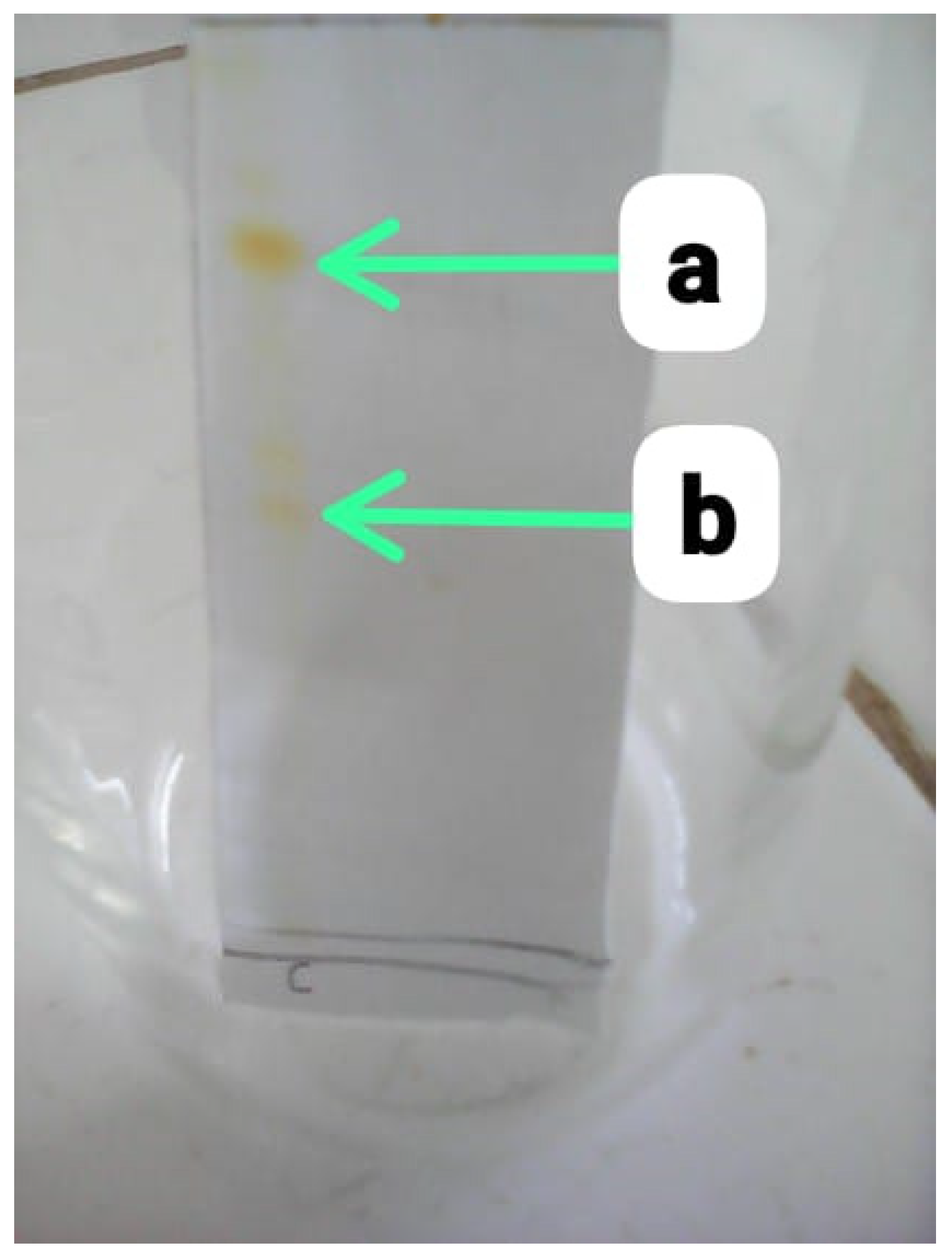 Preprints 93727 g007