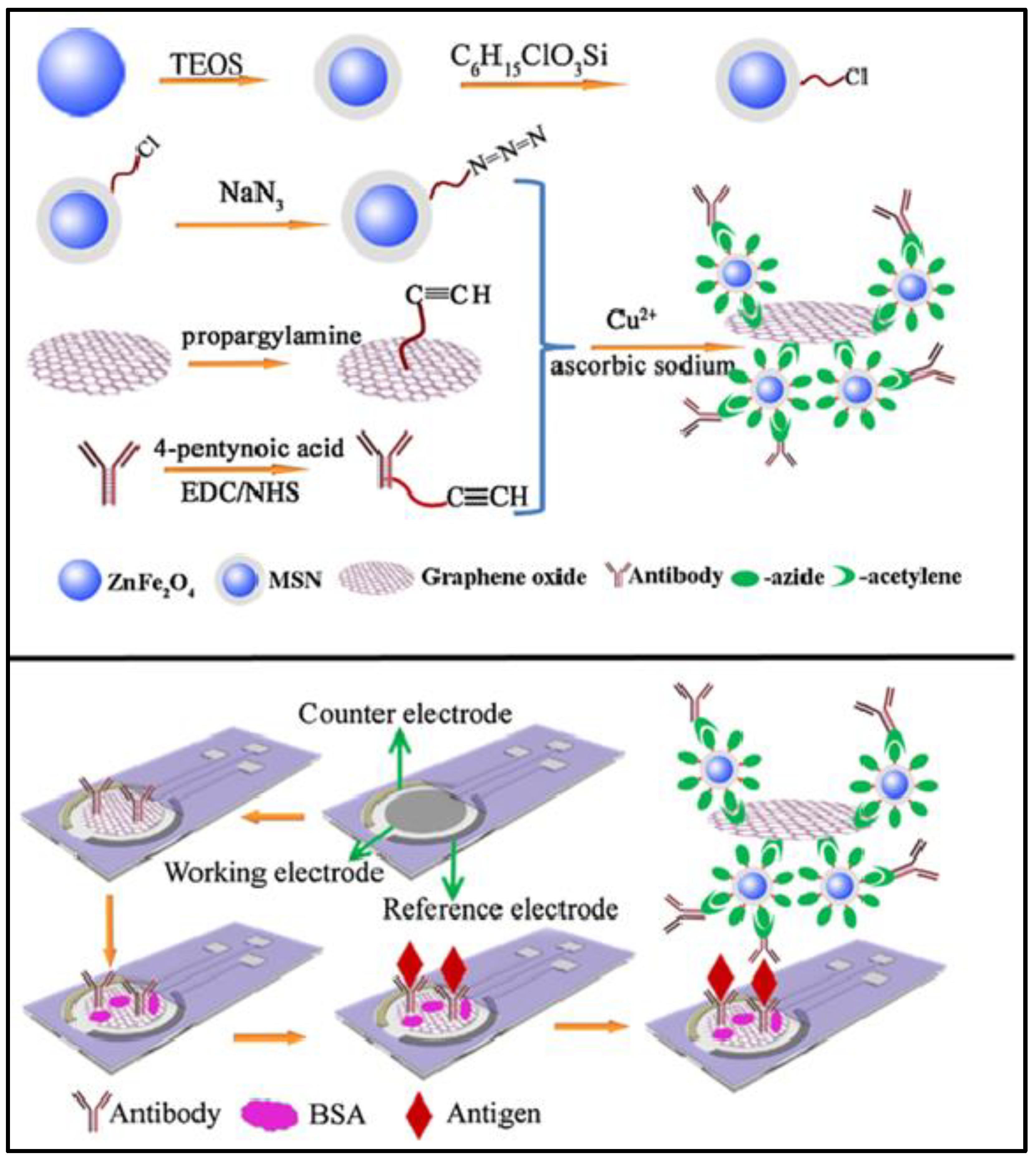 Preprints 111733 g003