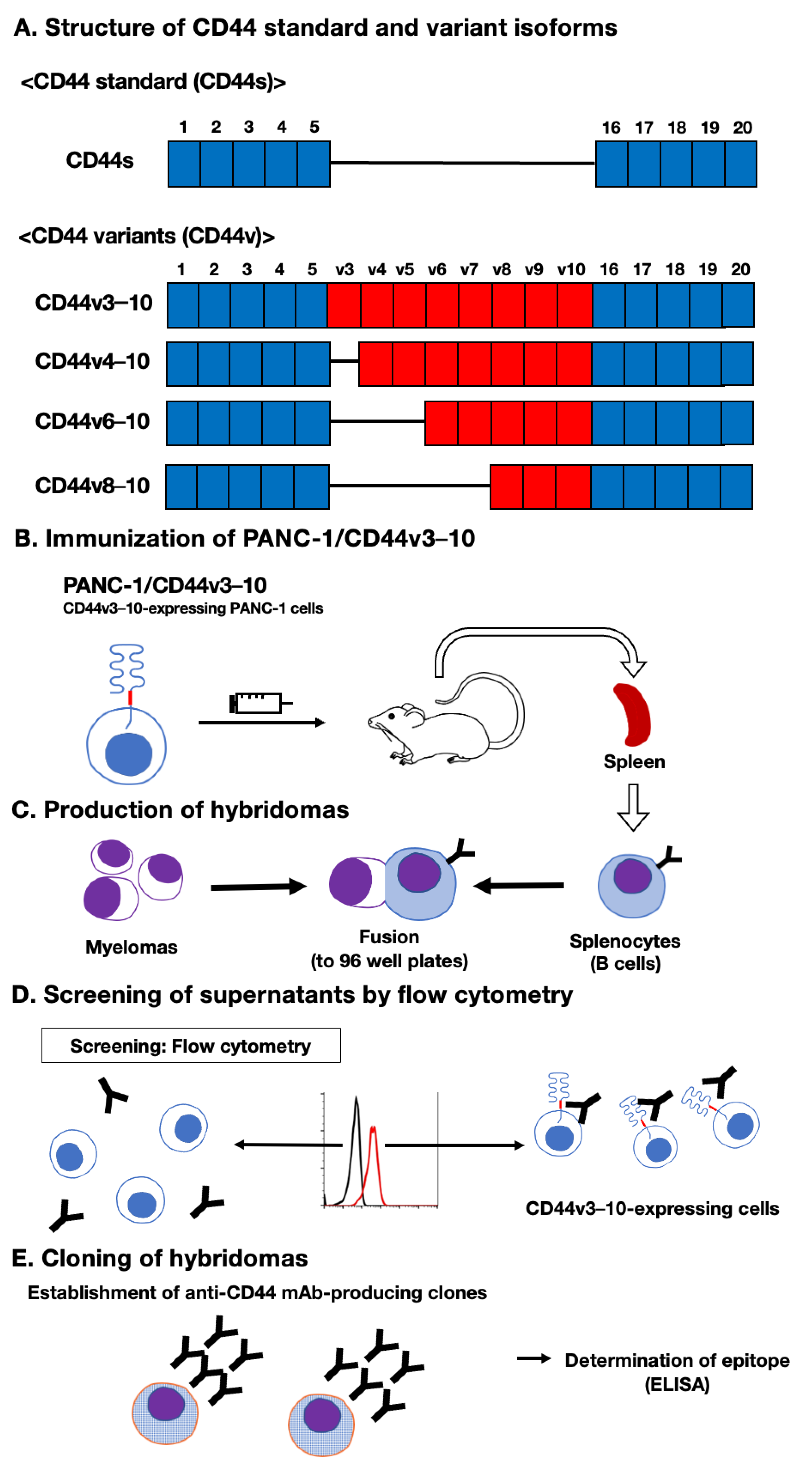 Preprints 74422 g001