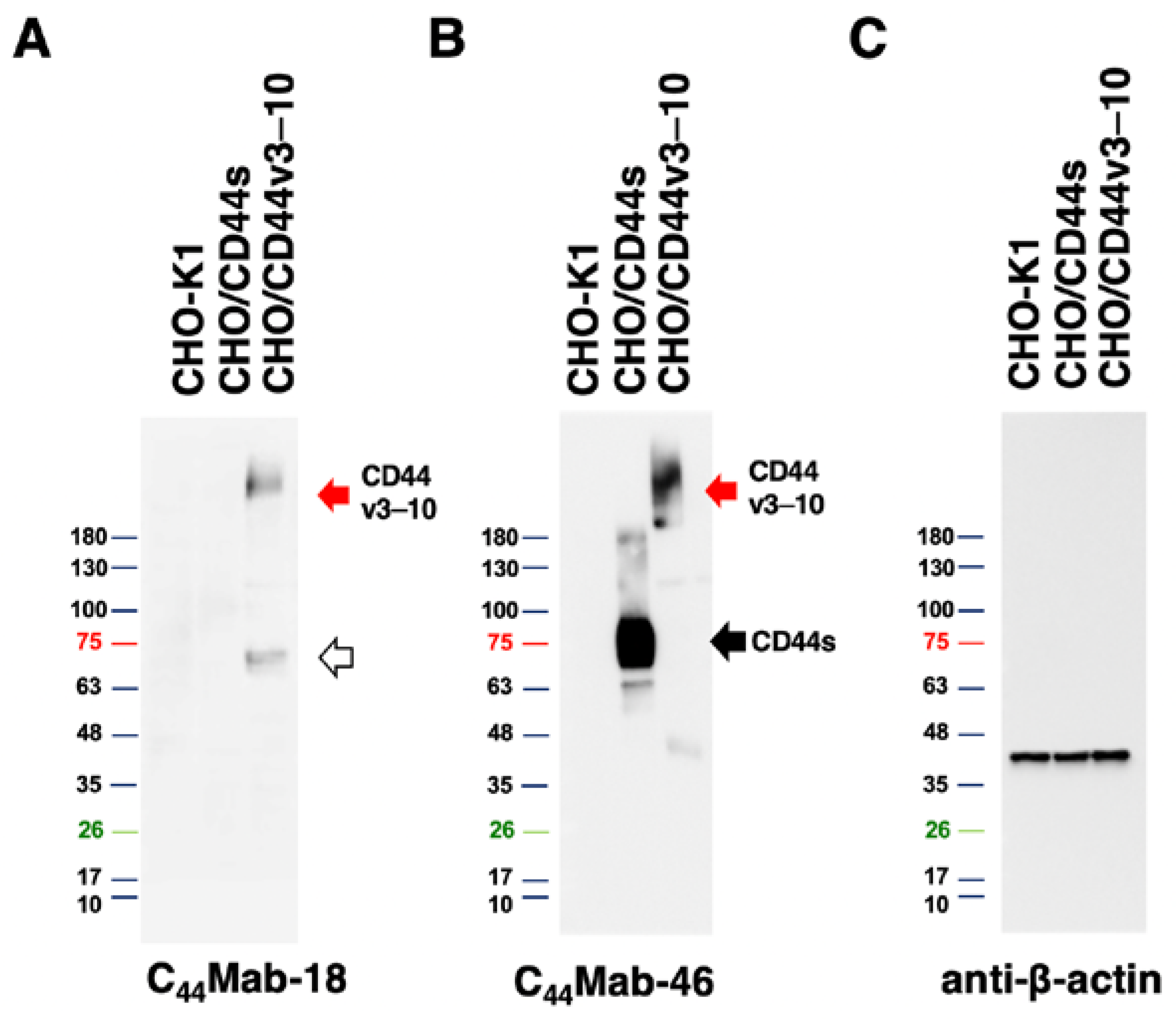 Preprints 74422 g005