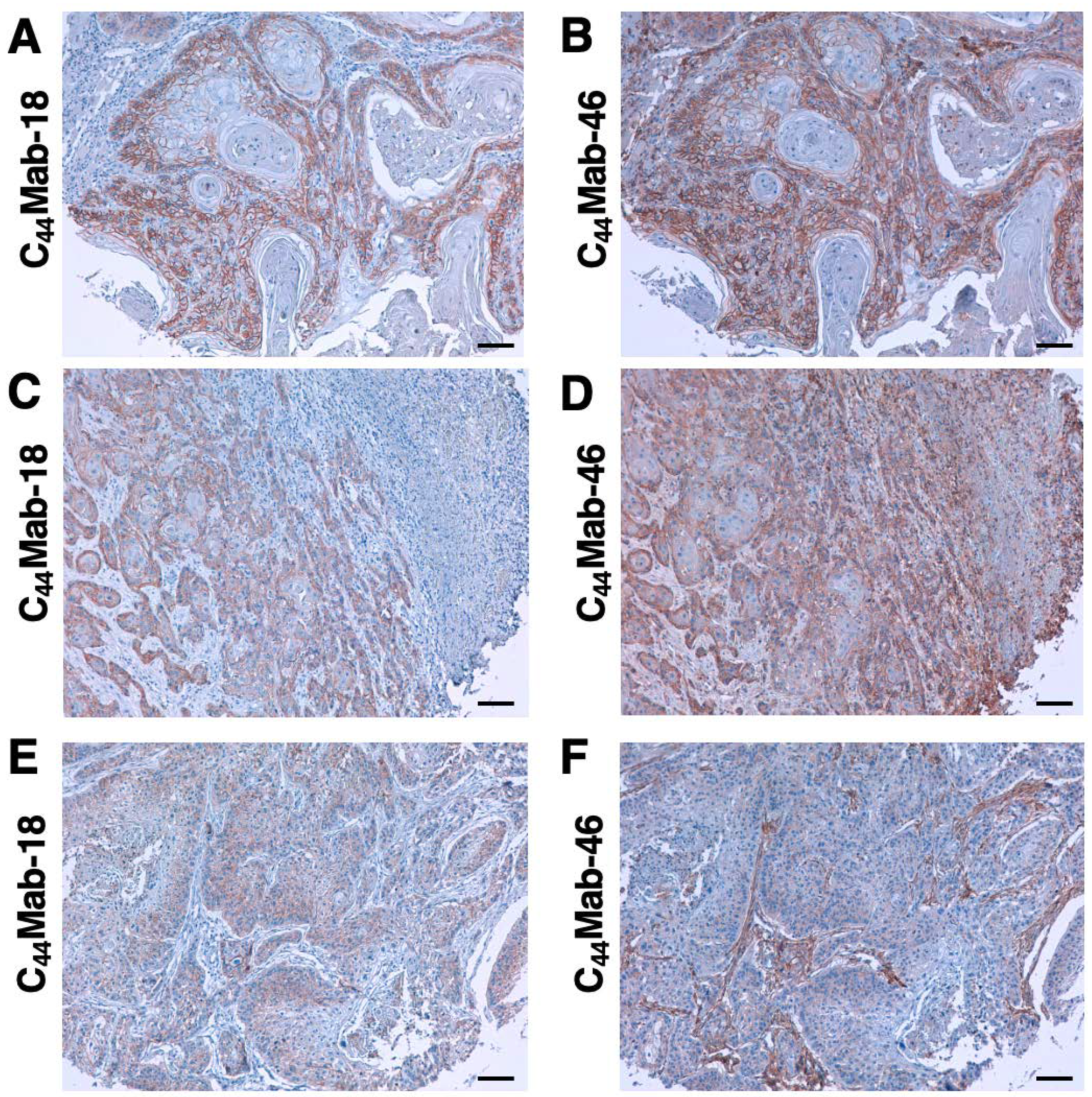 Preprints 74422 g006