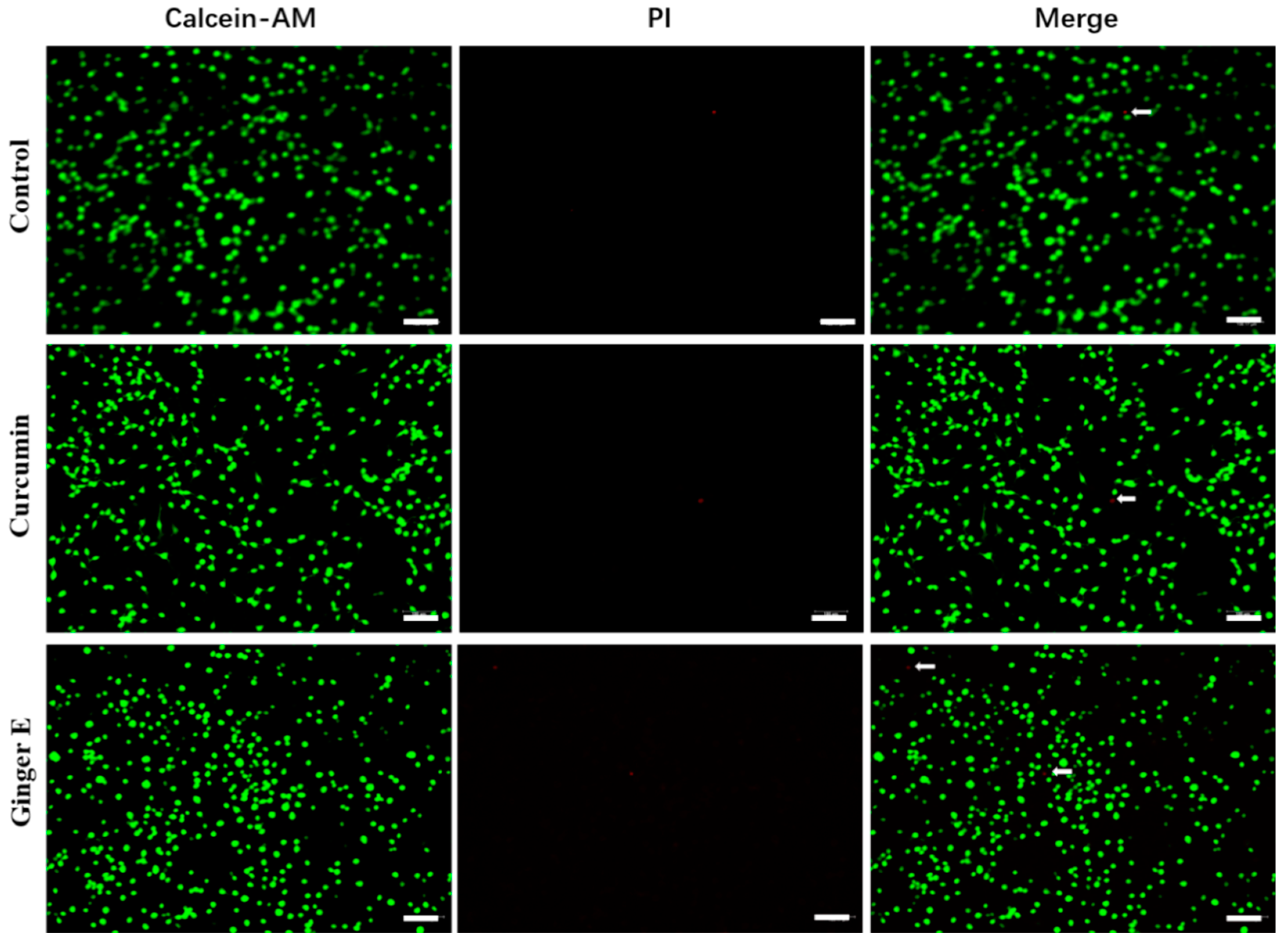 Preprints 119668 g003