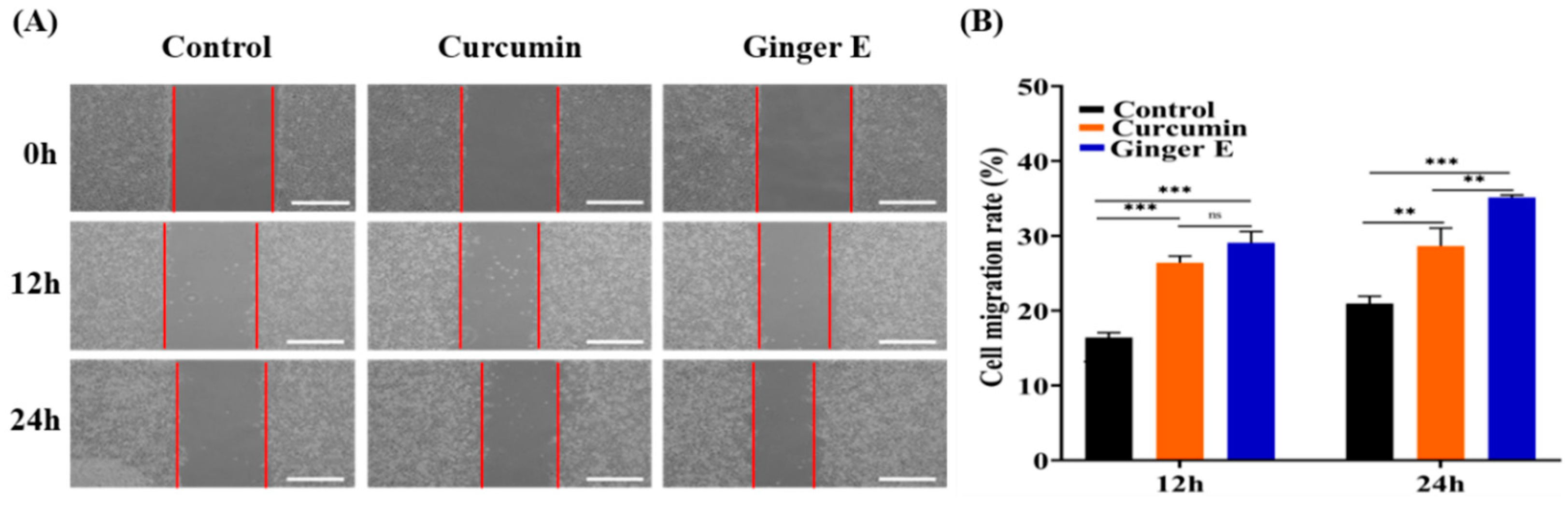 Preprints 119668 g004