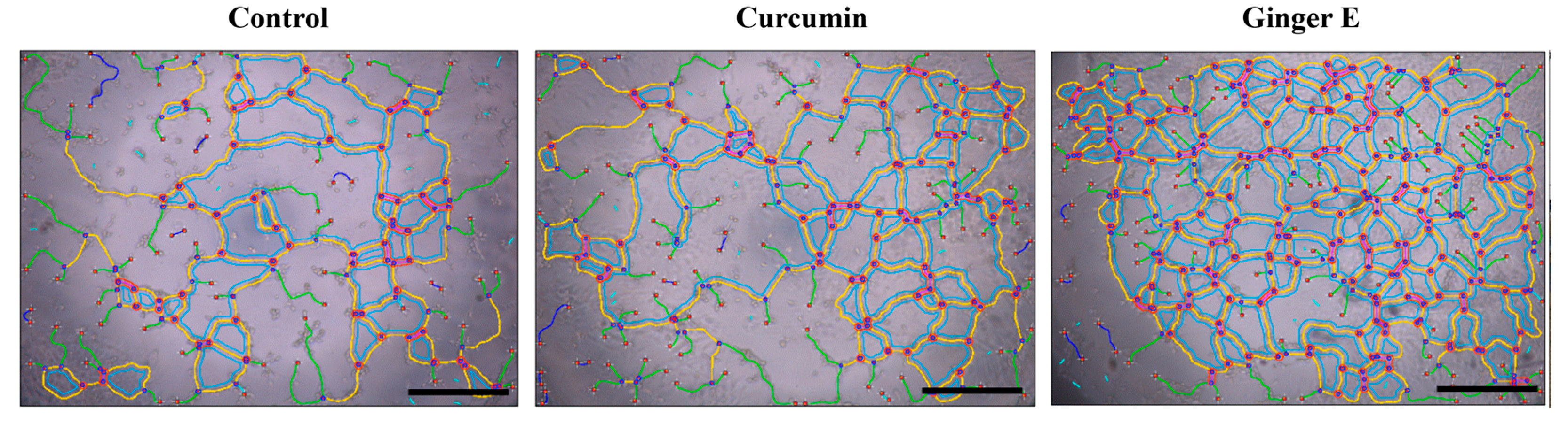 Preprints 119668 g005