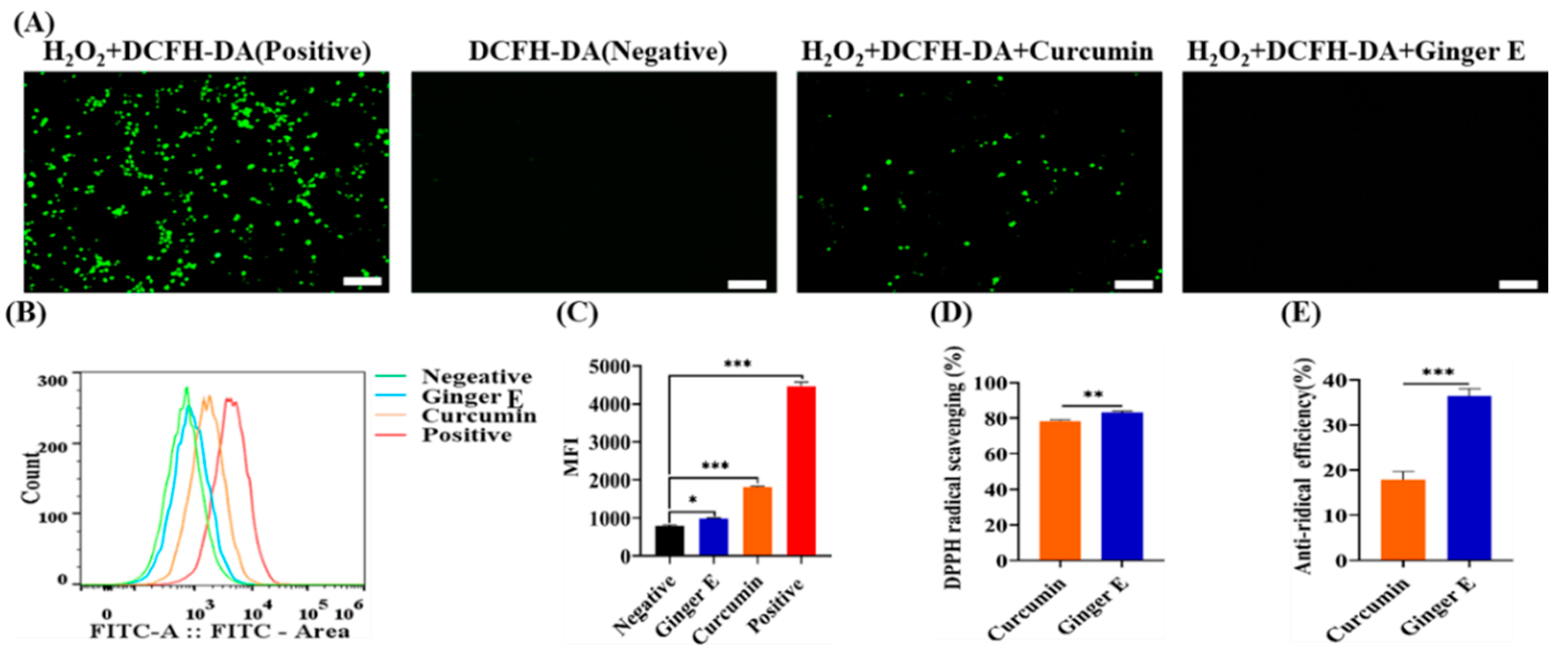 Preprints 119668 g006