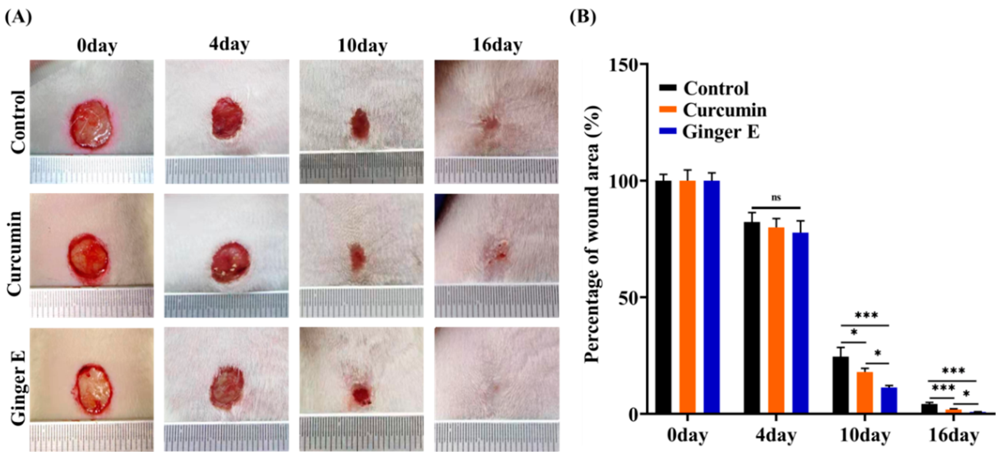 Preprints 119668 g007