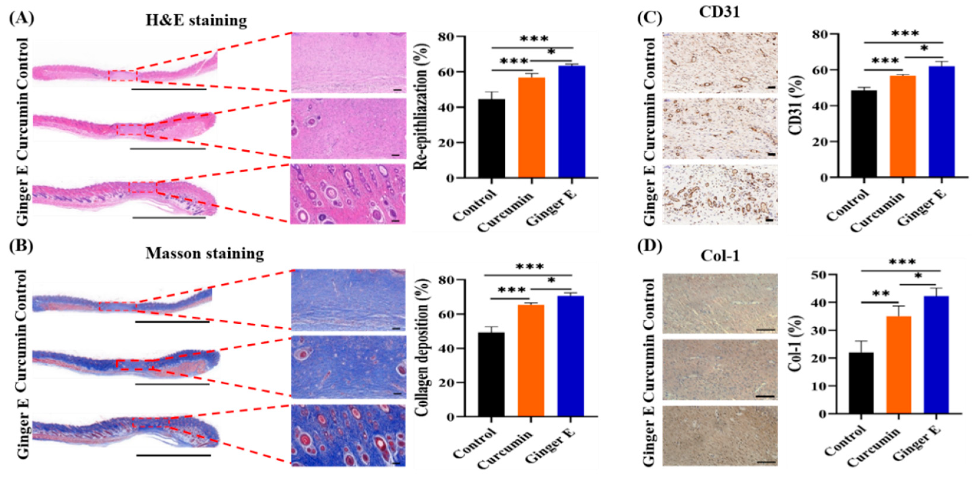 Preprints 119668 g008