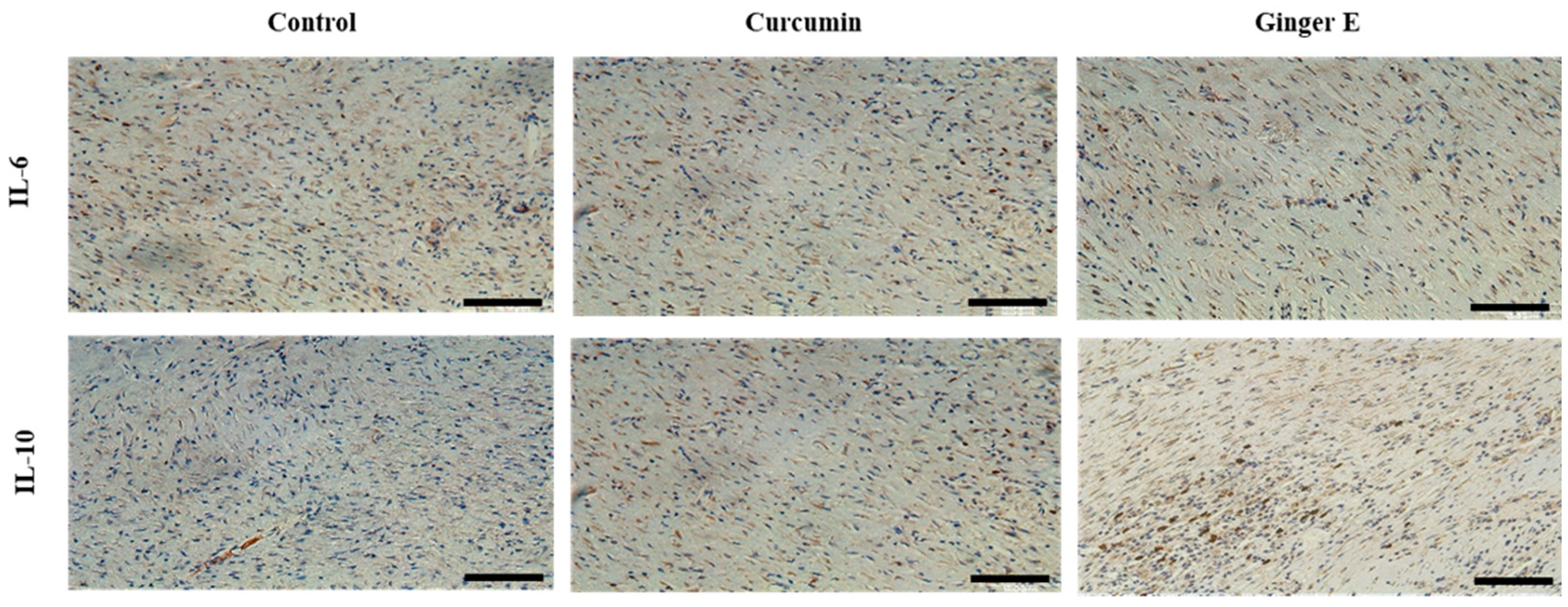 Preprints 119668 g009