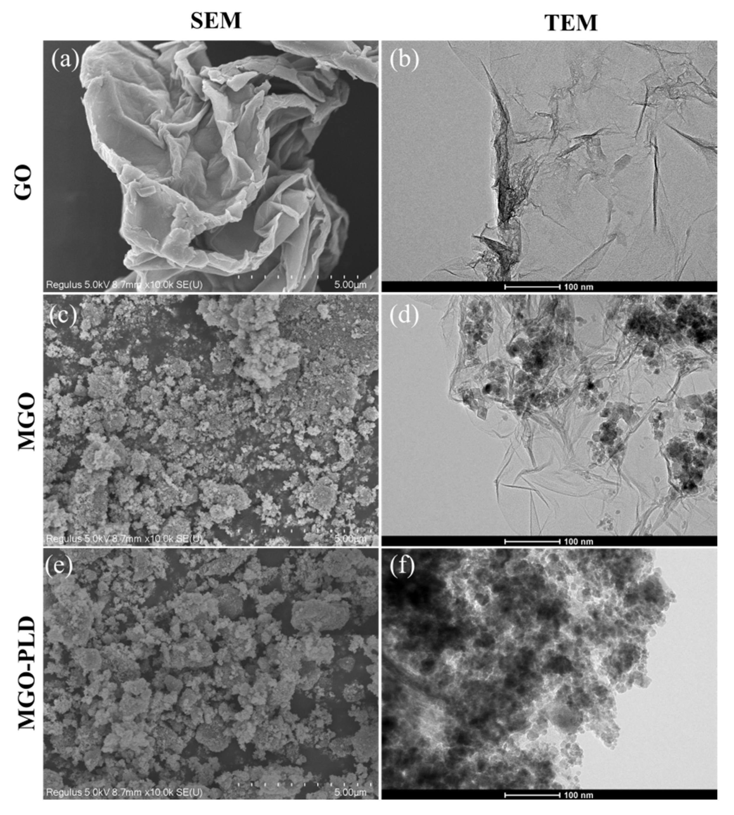 Preprints 118334 g002