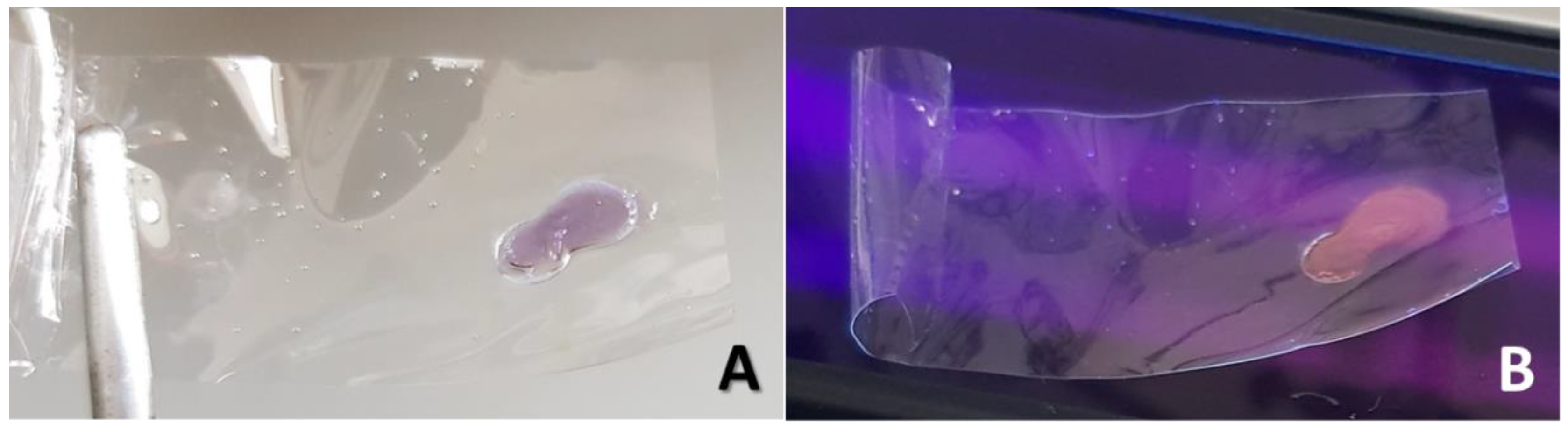 Preprints 116317 g002