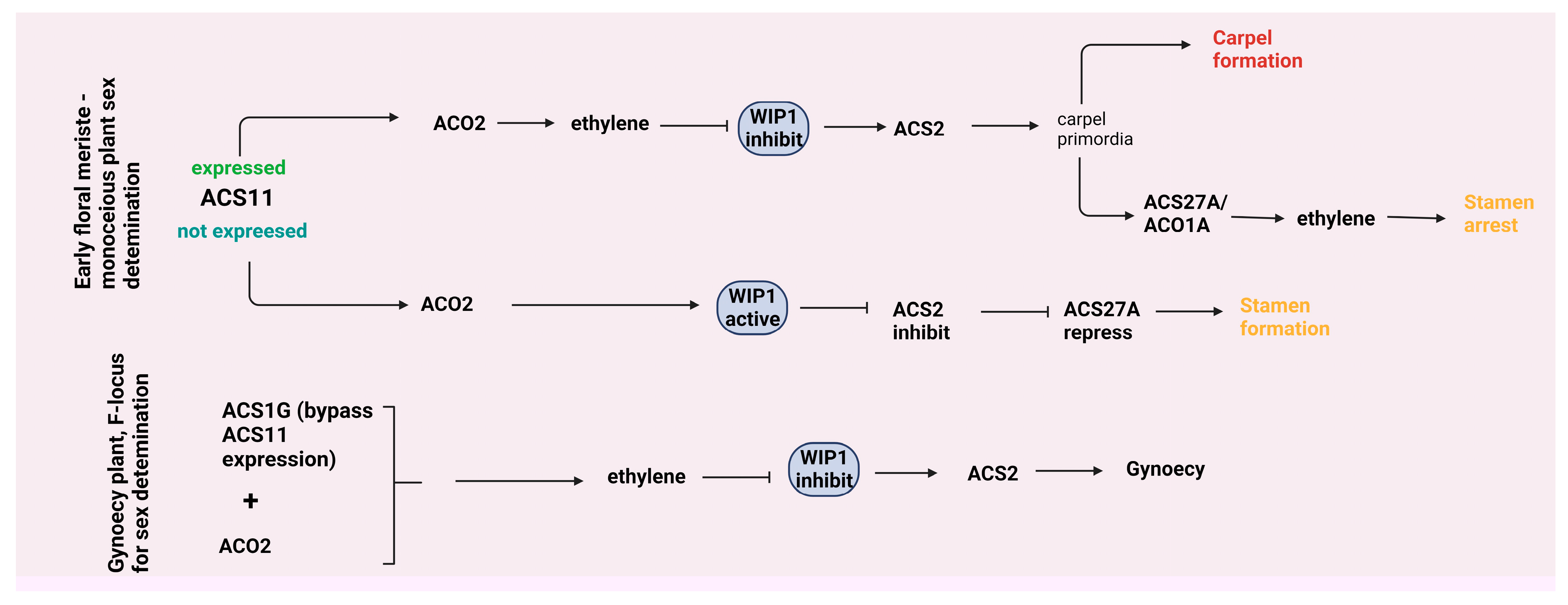 Preprints 85396 g002