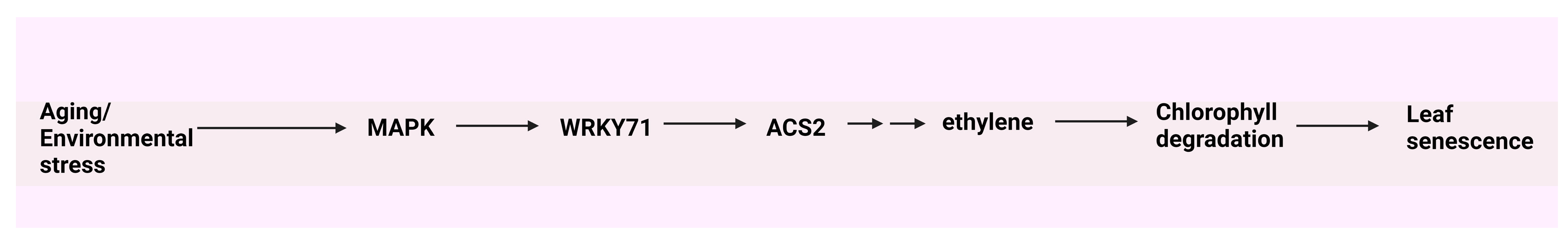 Preprints 85396 g006