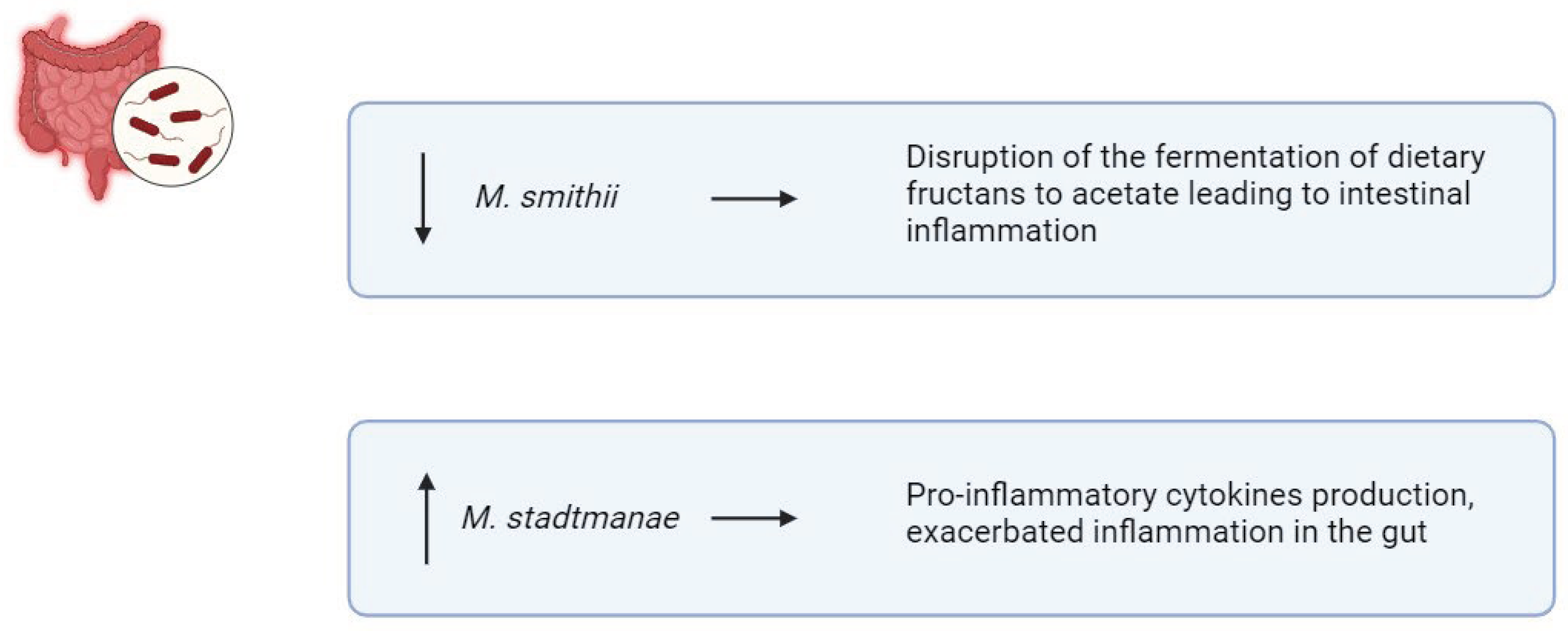 Preprints 100392 g005