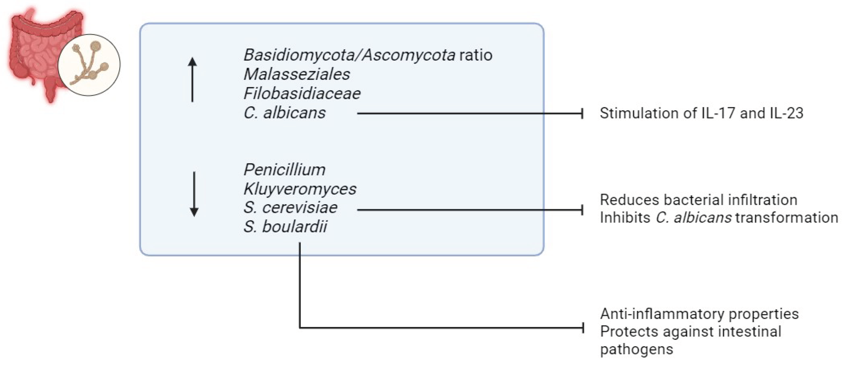 Preprints 100392 g006