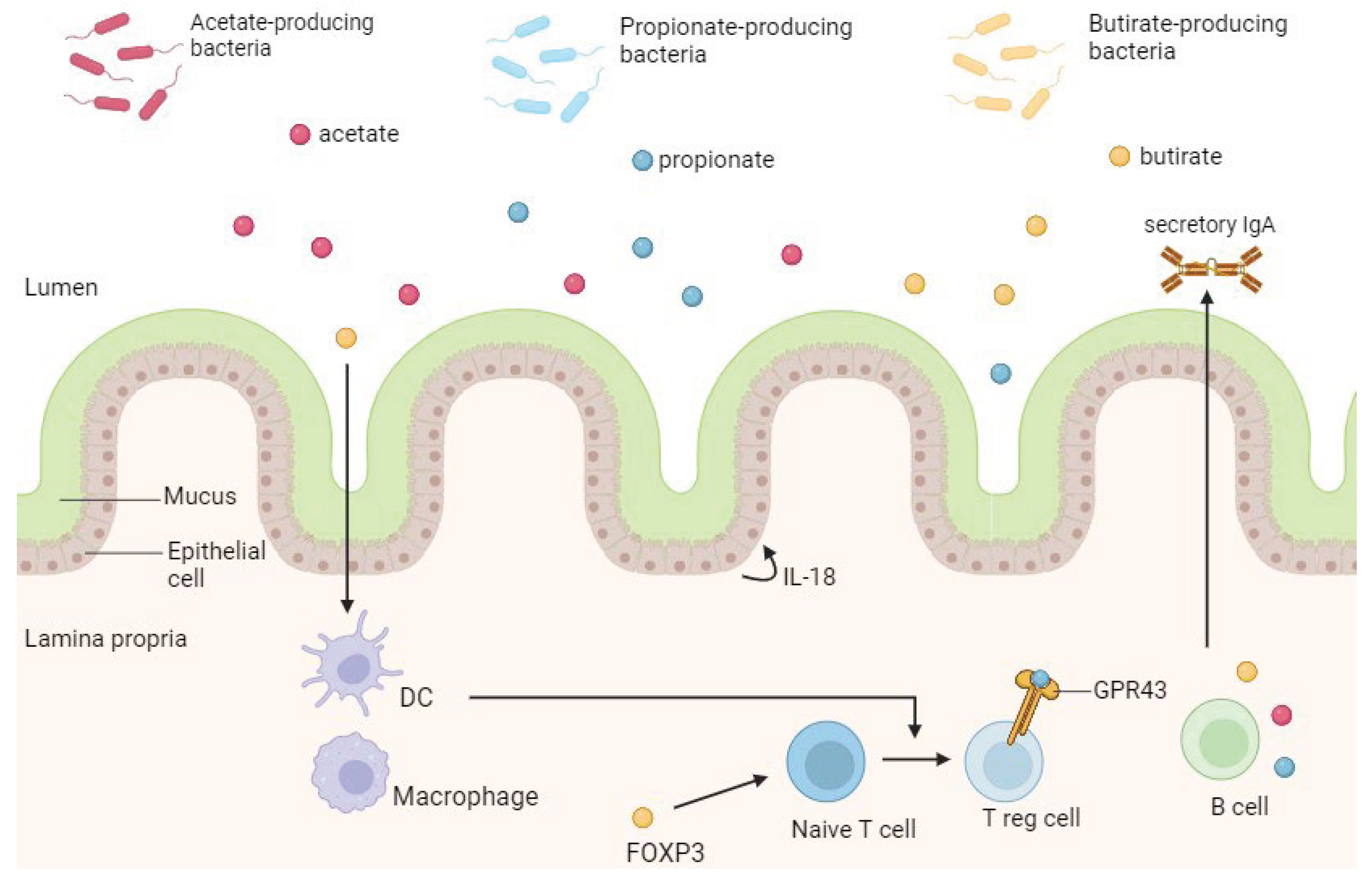 Preprints 100392 g007