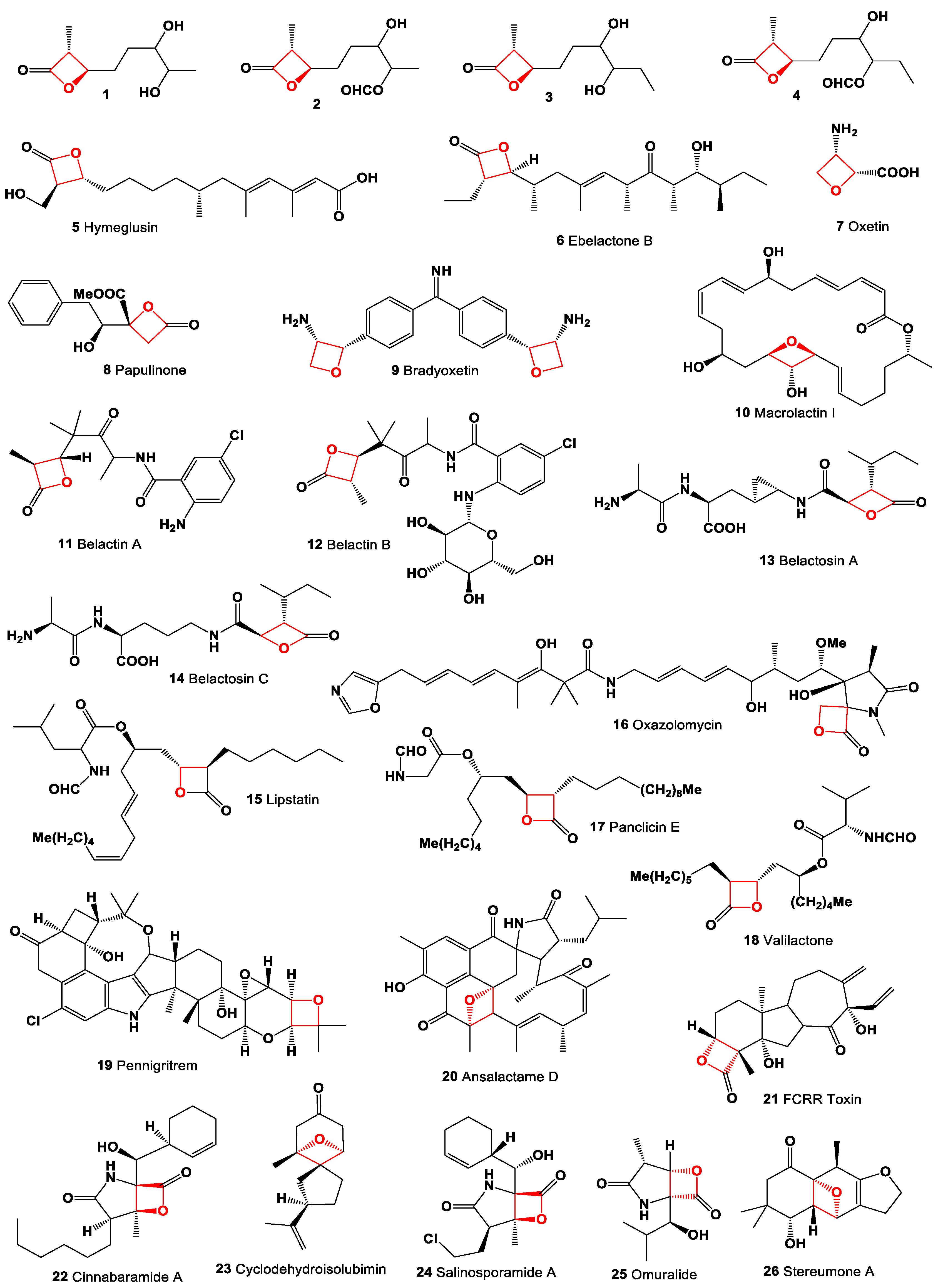 Preprints 104528 g002