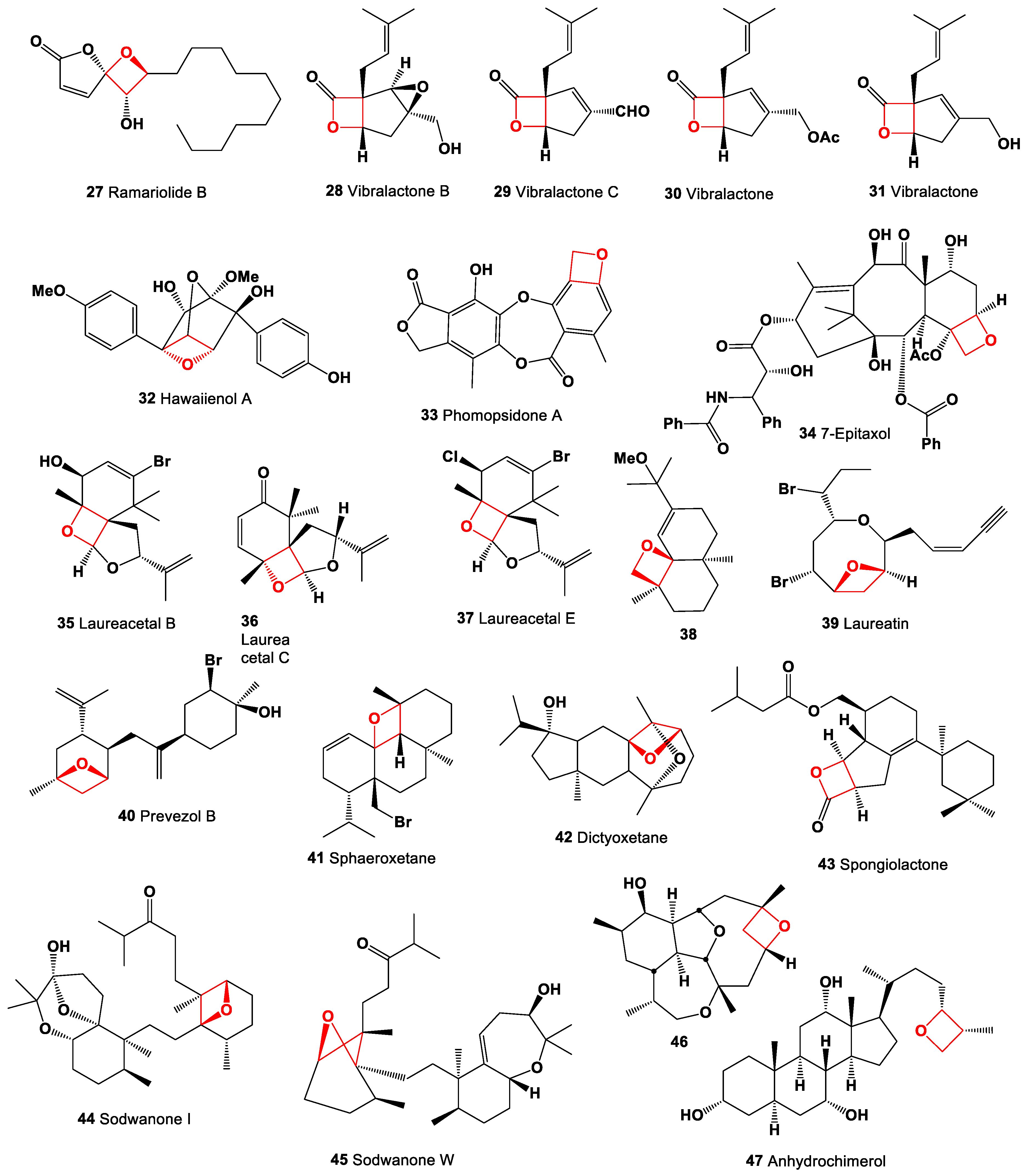 Preprints 104528 g003