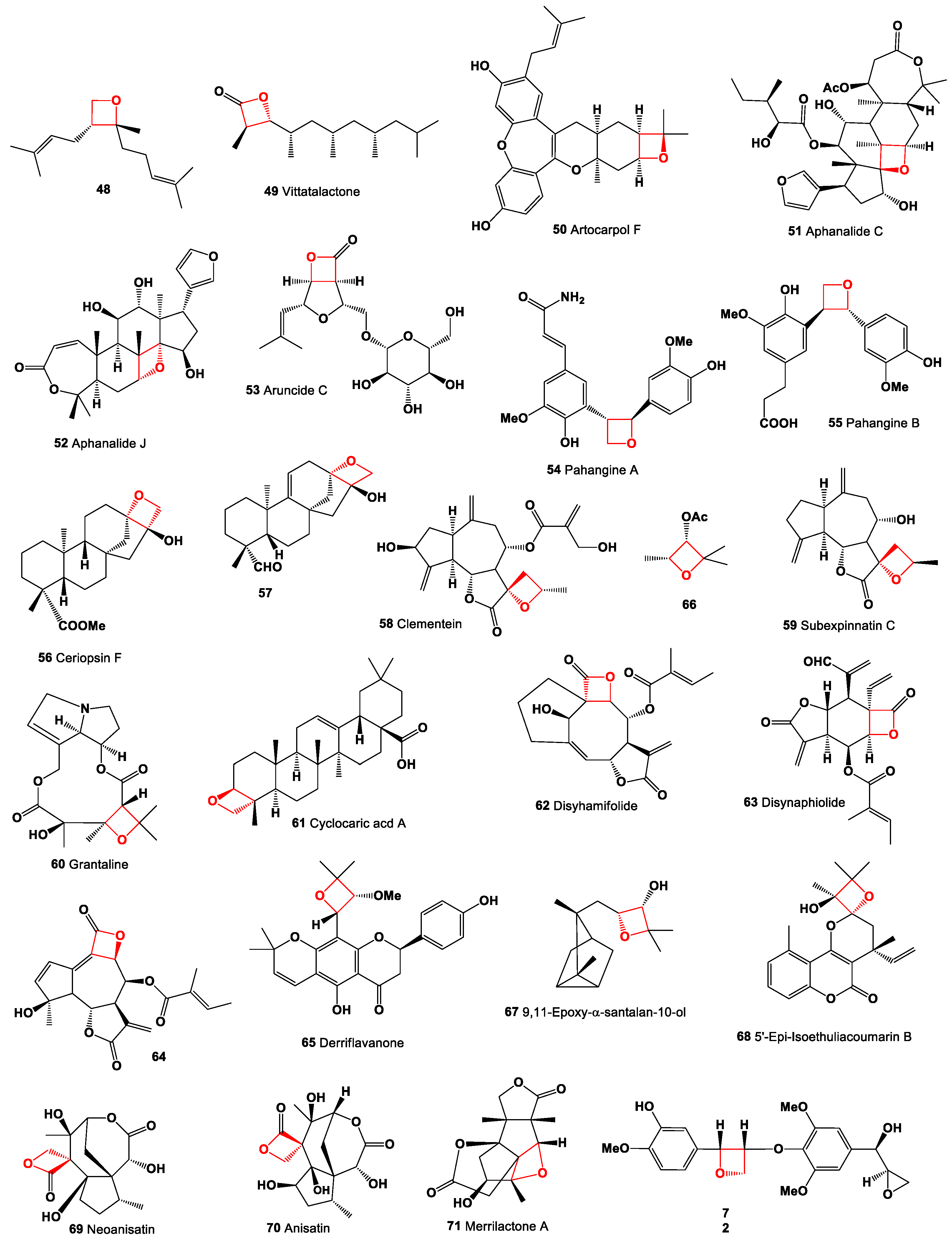 Preprints 104528 g005