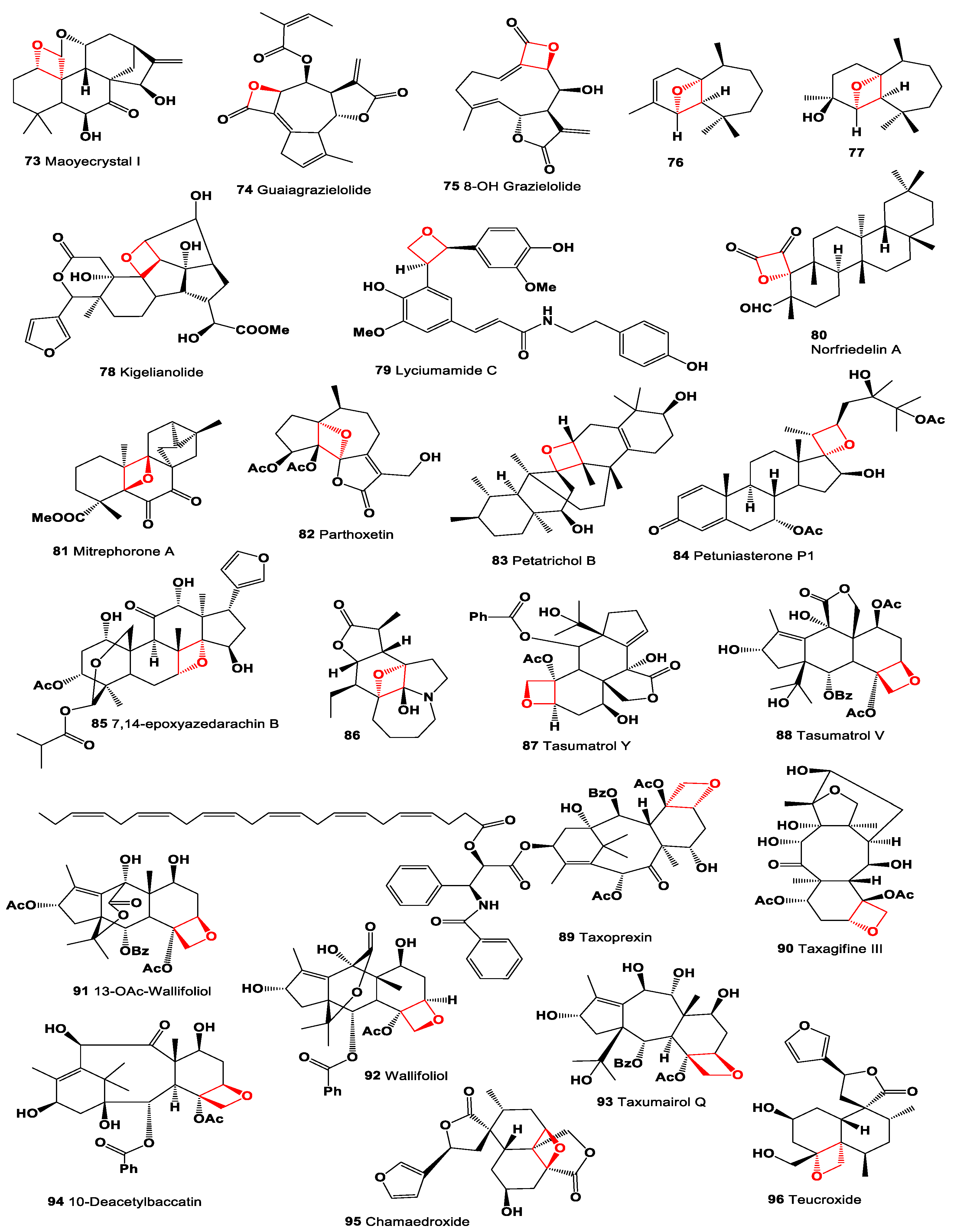 Preprints 104528 g007