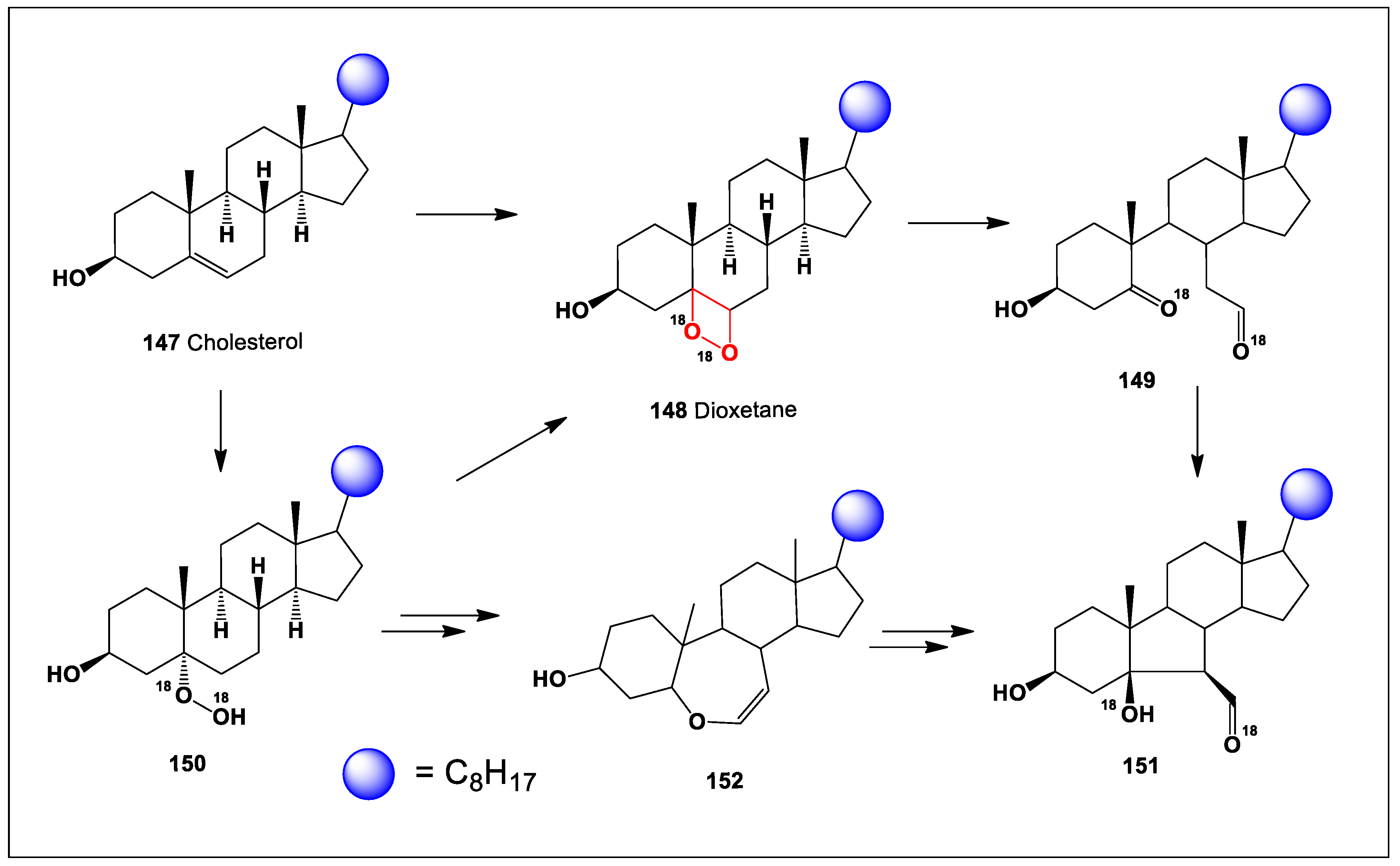 Preprints 104528 sch001