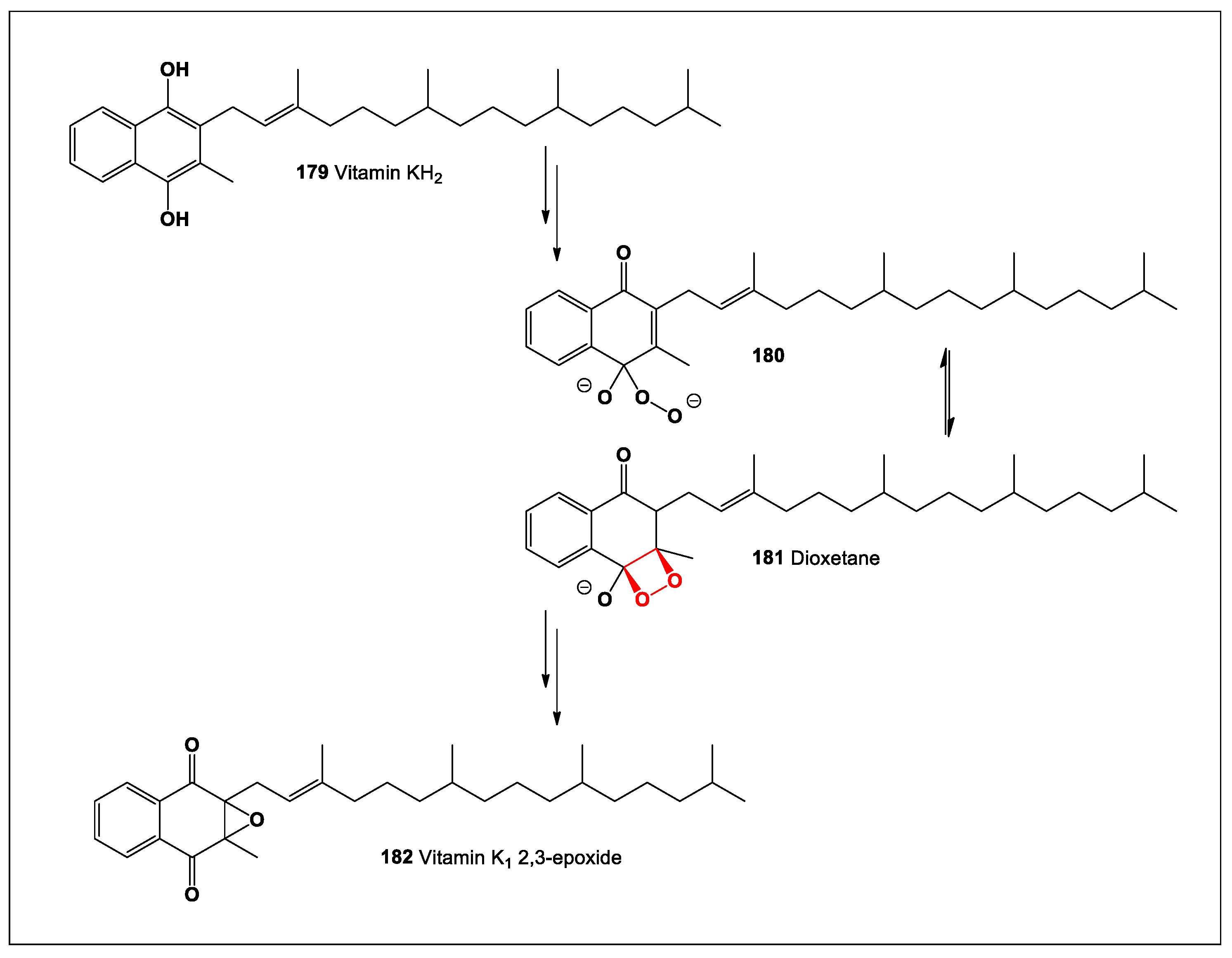 Preprints 104528 sch008